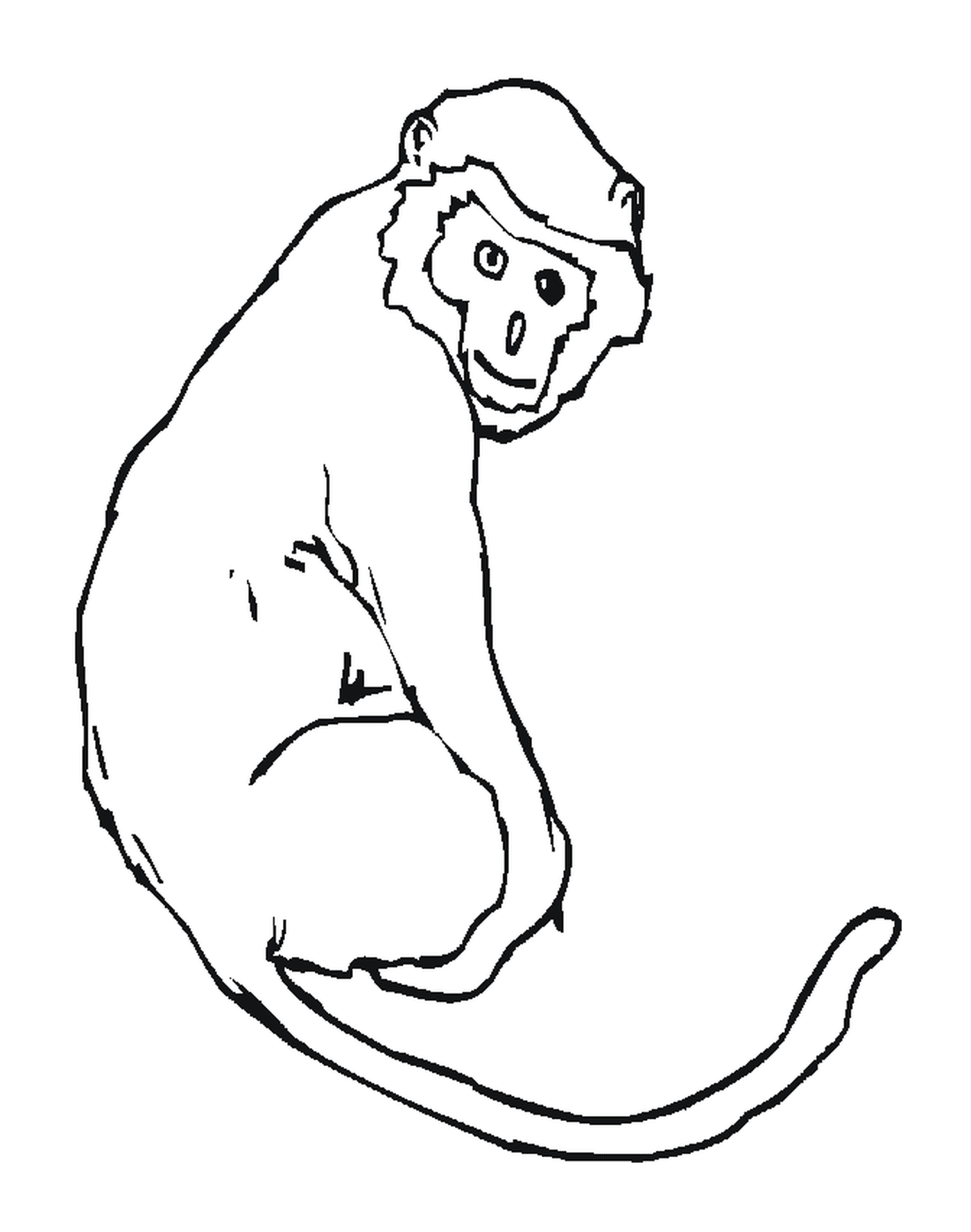 coloriage Un singe avec sa queue