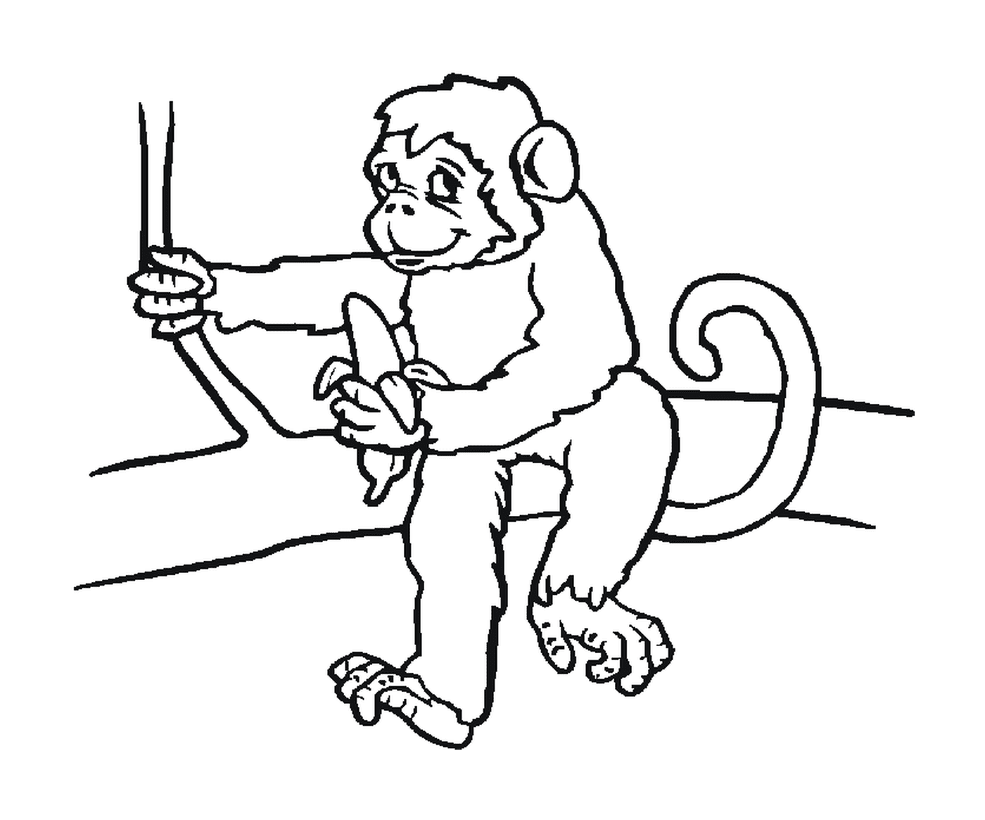 coloriage un singe assis sur une branche avec sa banane