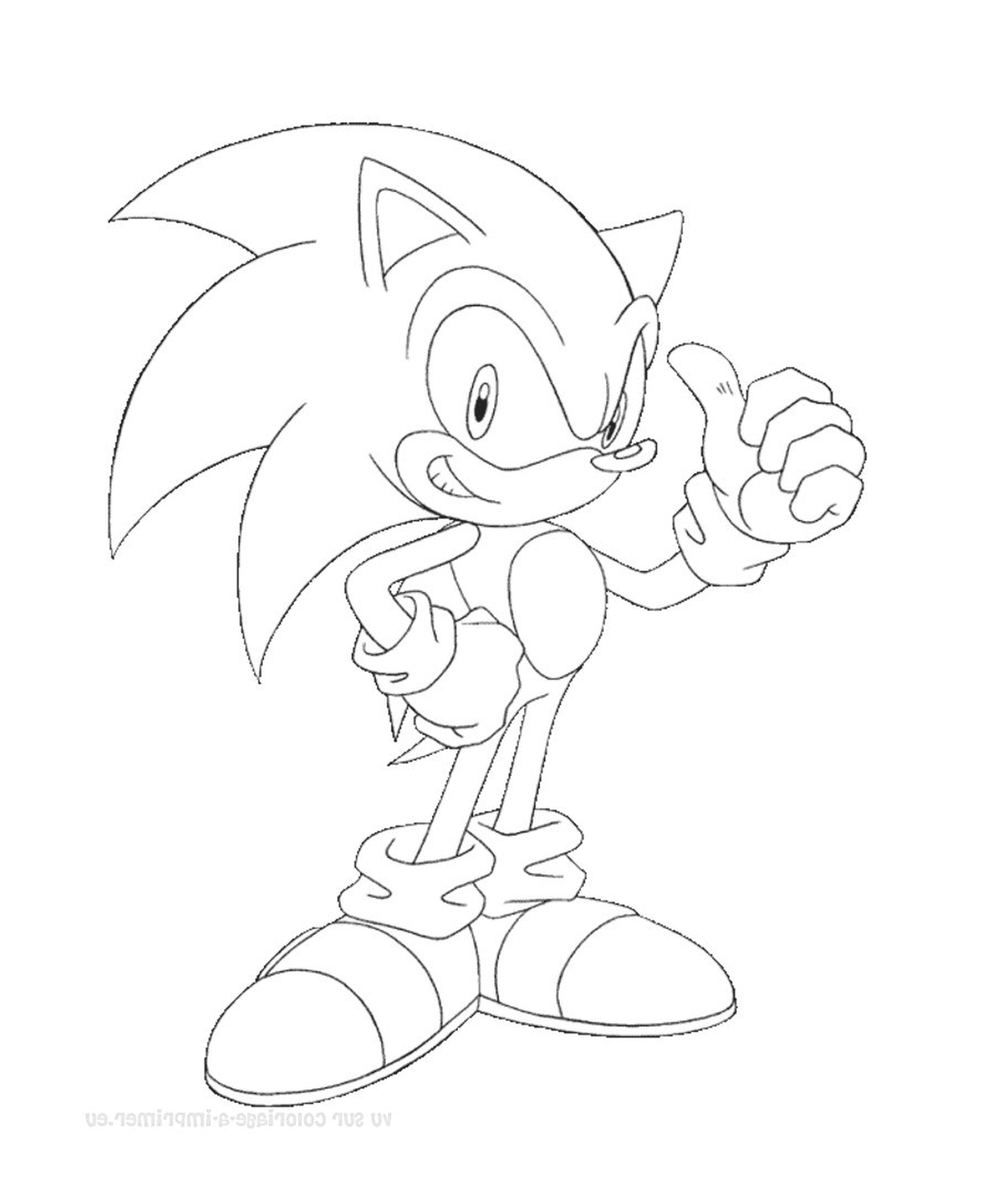 coloriage sonic 246