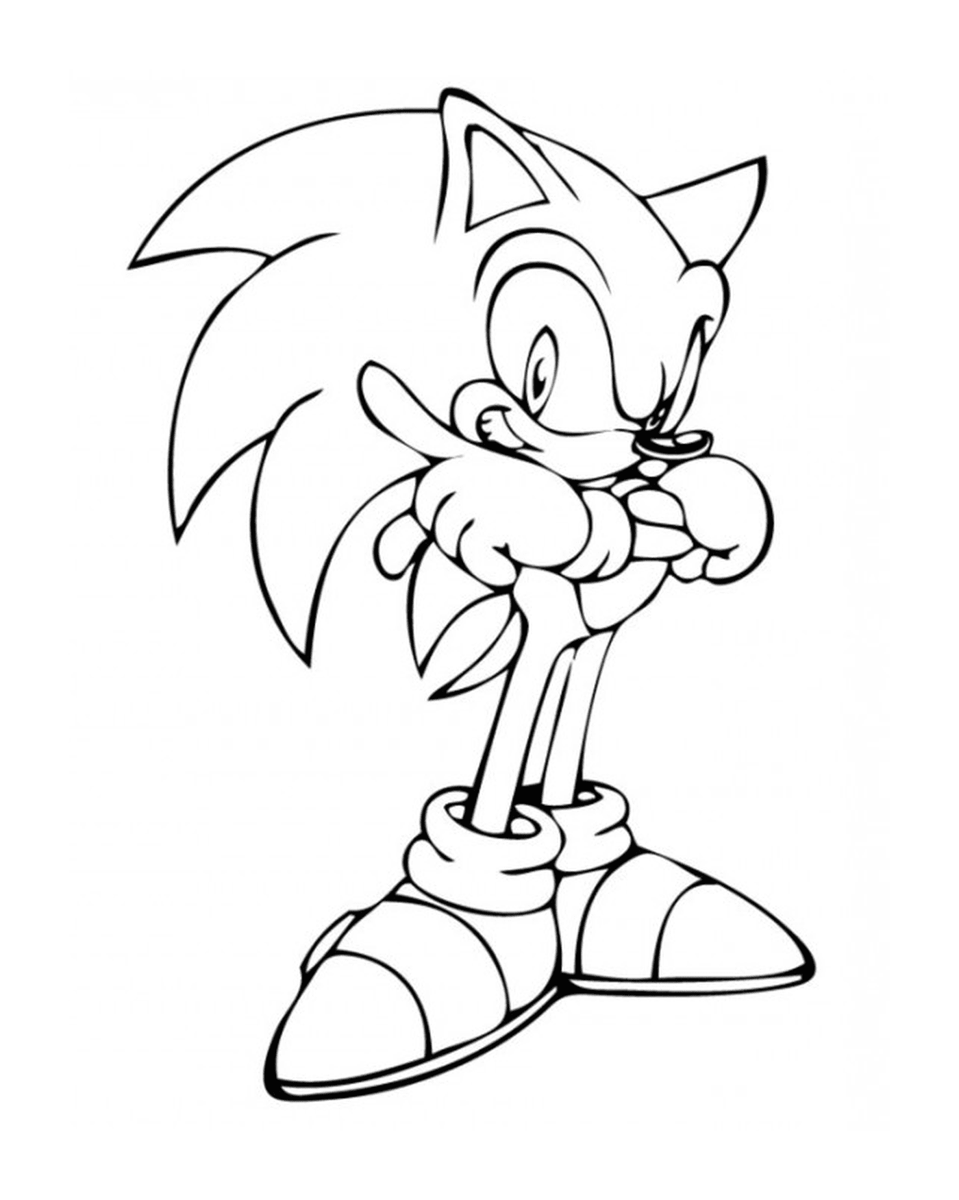 coloriage sonic 33
