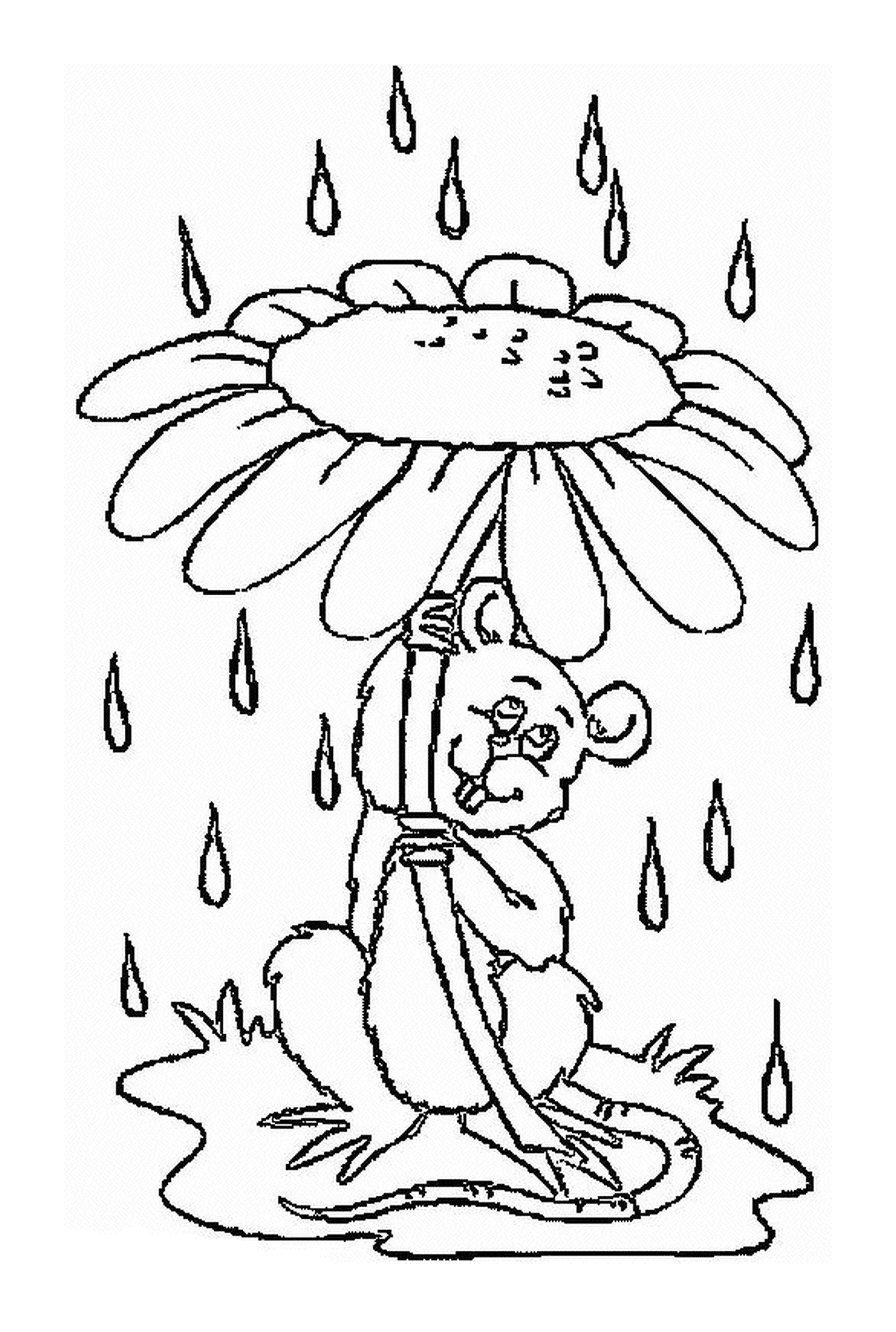 coloriage la souris s abrite de la pluie sous une fleur