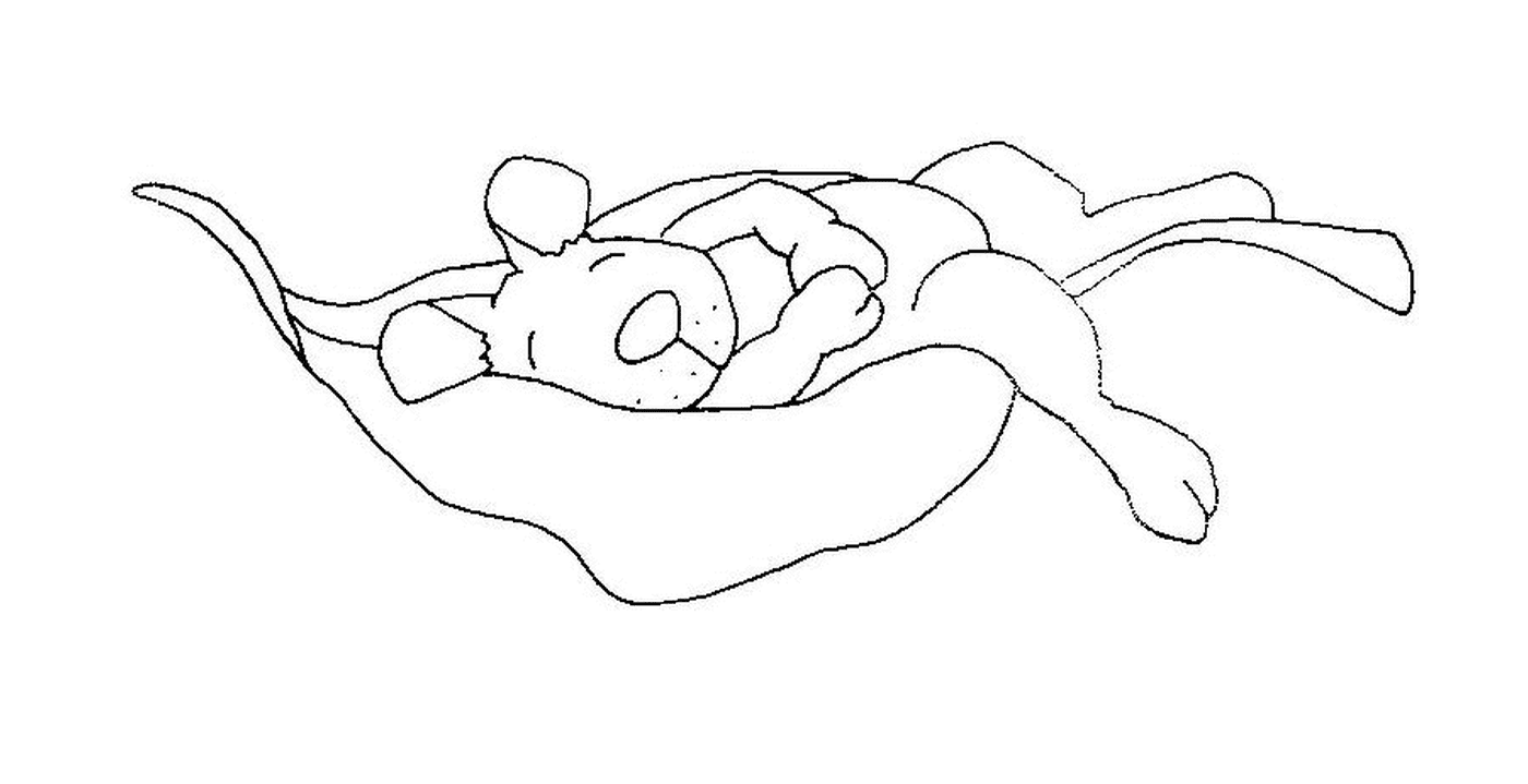 coloriage souris dort sur une feuille morte