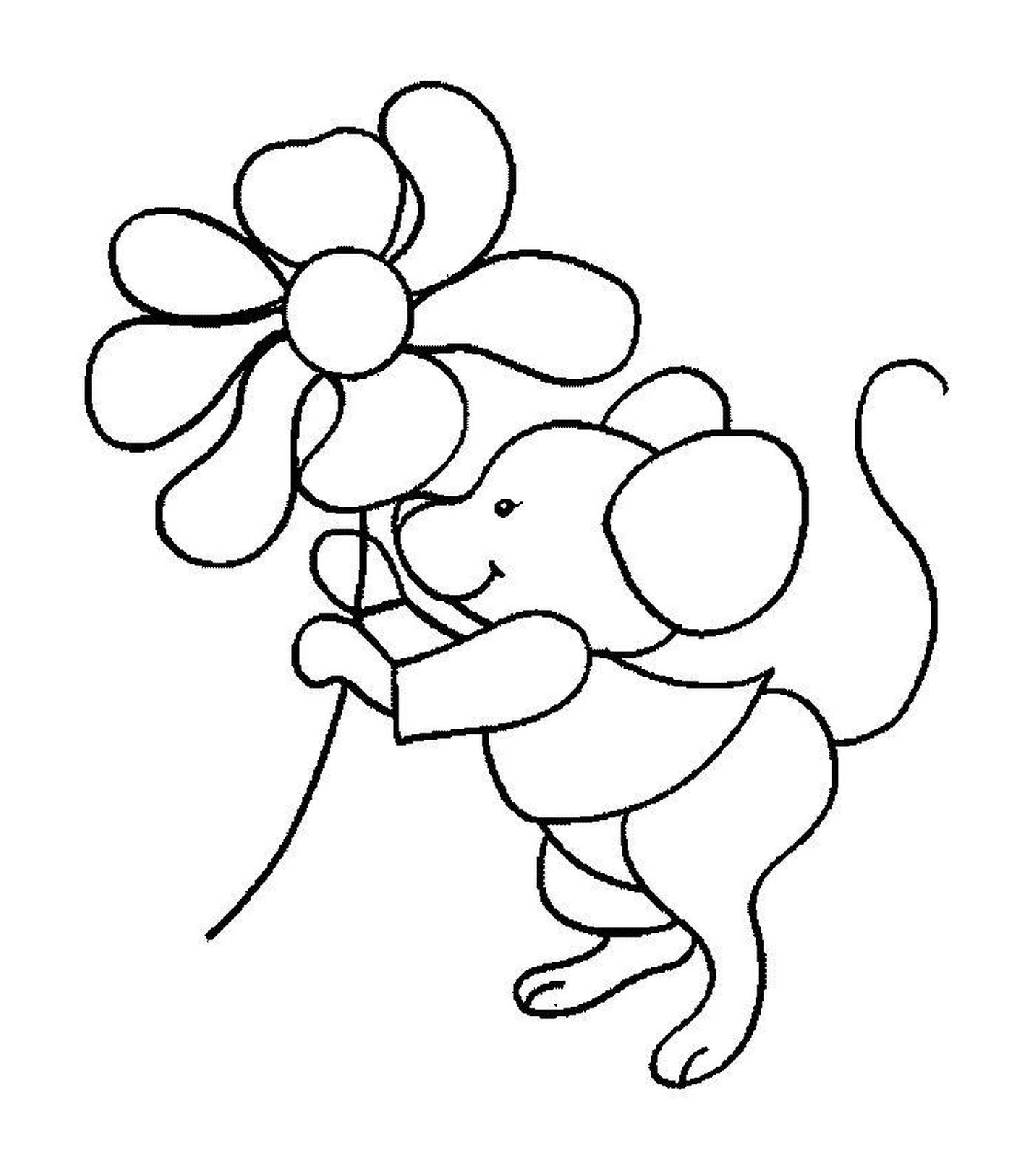 coloriage la souris porte une fleur