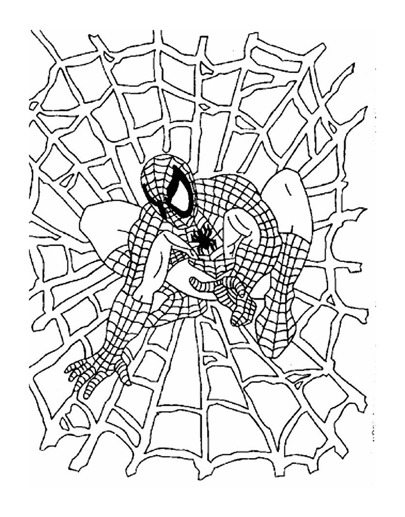 coloriage spiderman 13