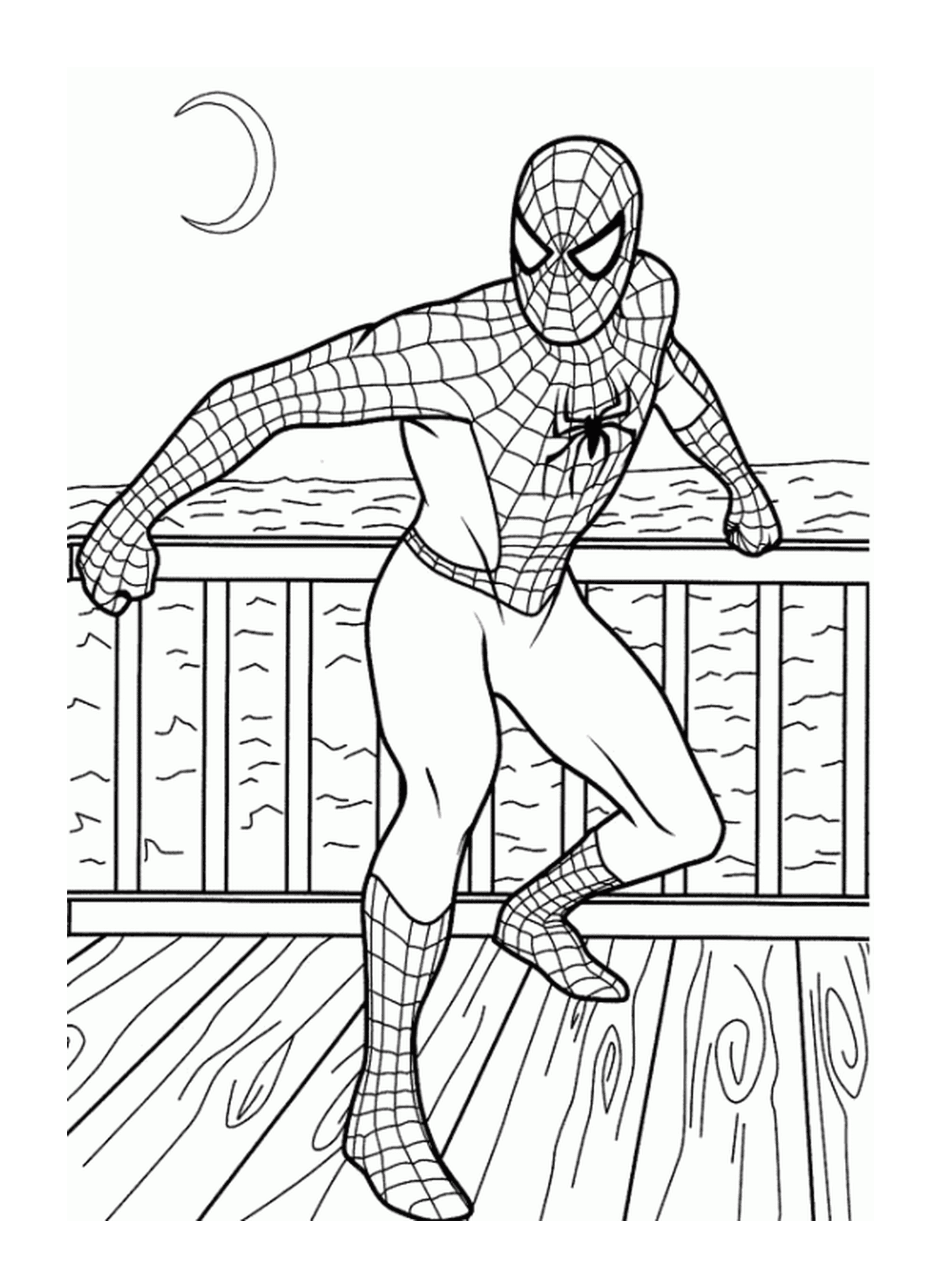 spiderman a la plage au bord de leau