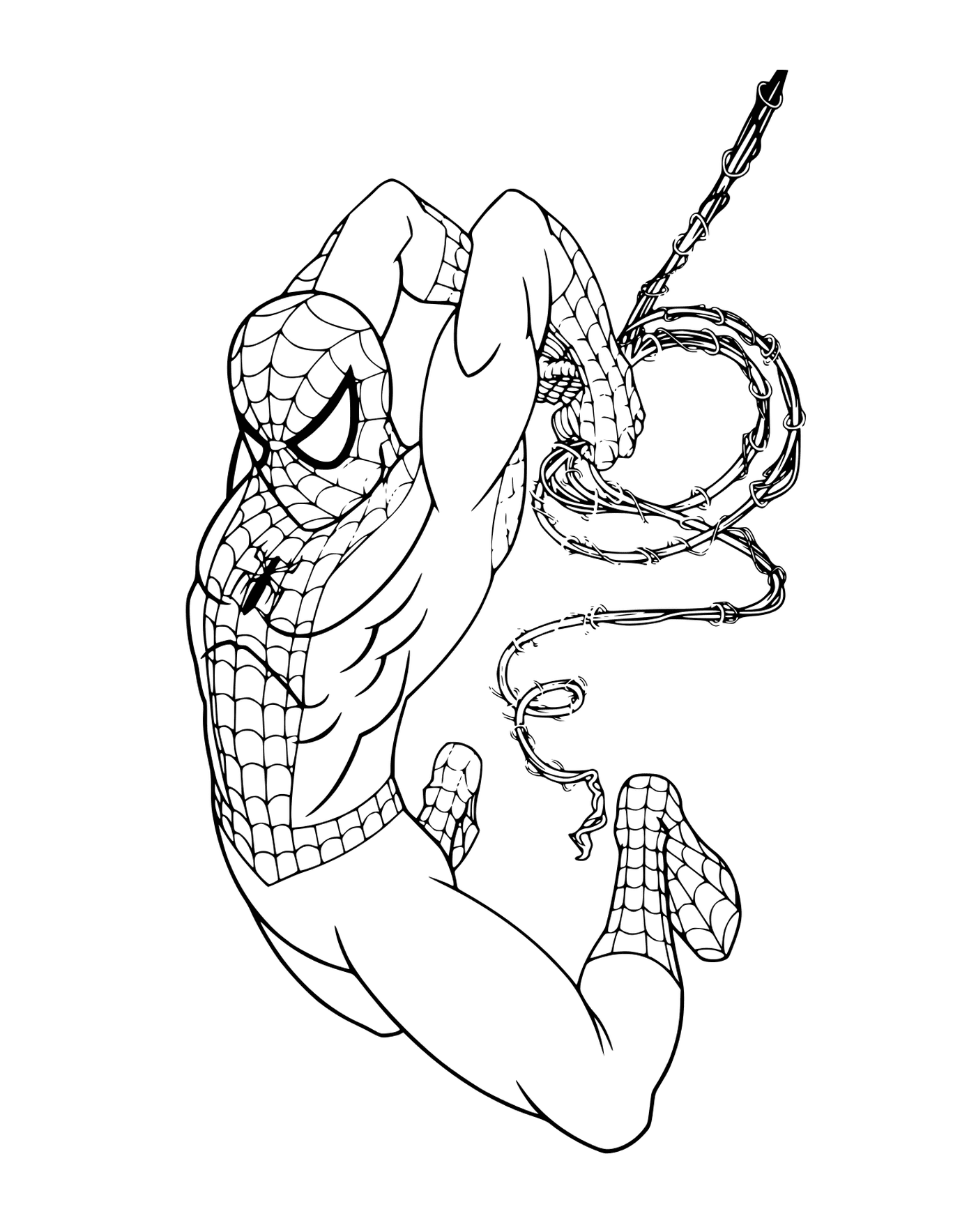 coloriage Spider Man created by Stan Lee and Steve Ditko