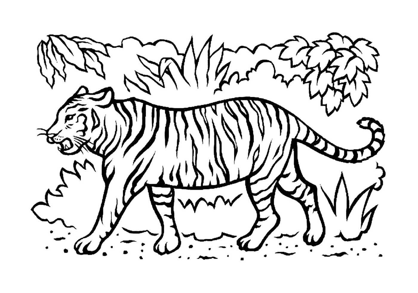coloriage magnifique tigre avec dents dans la savane