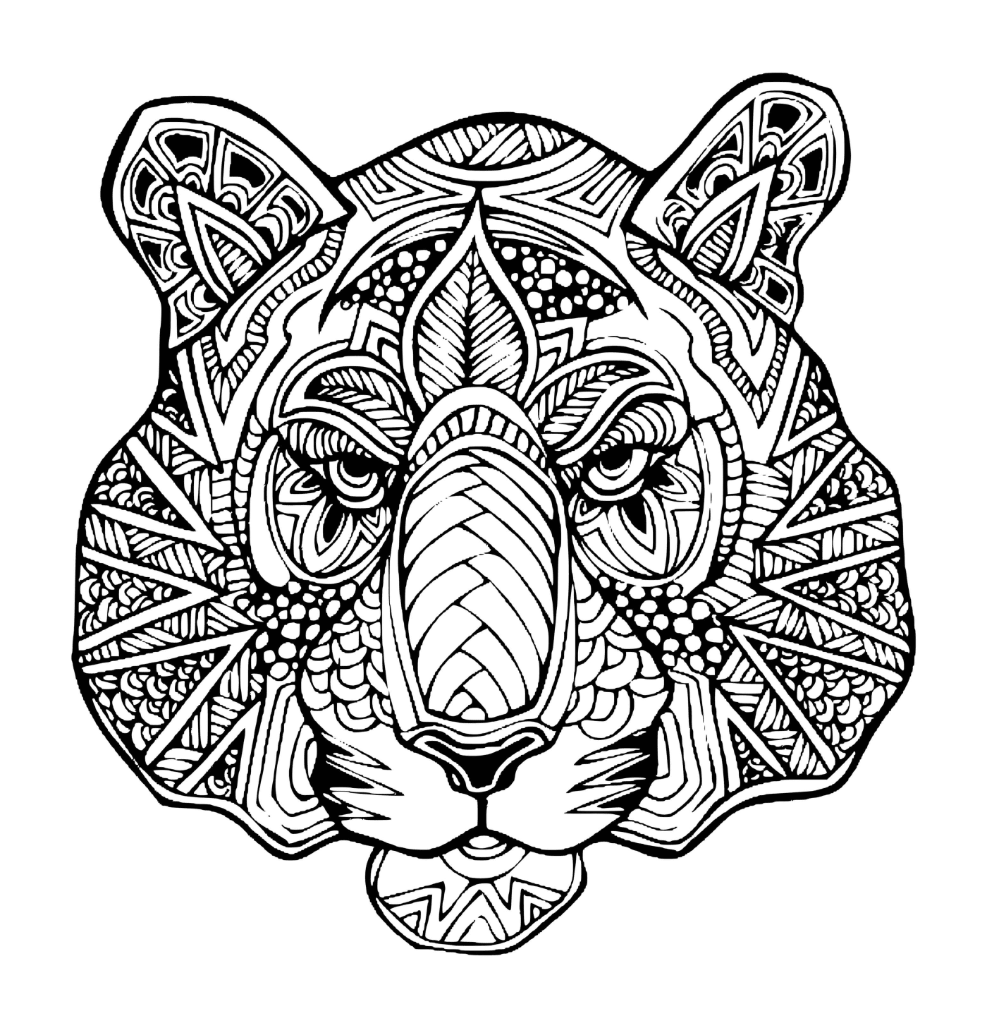coloriage tigre mandala adulte felin