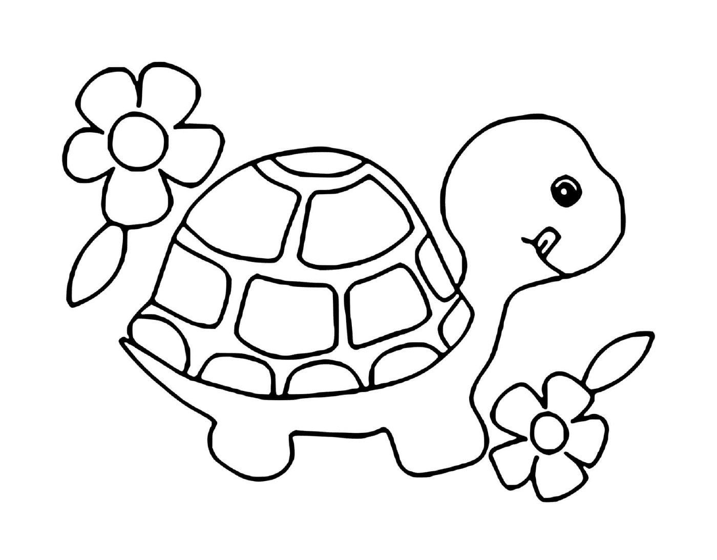coloriage bebe tortue avec des fleurs