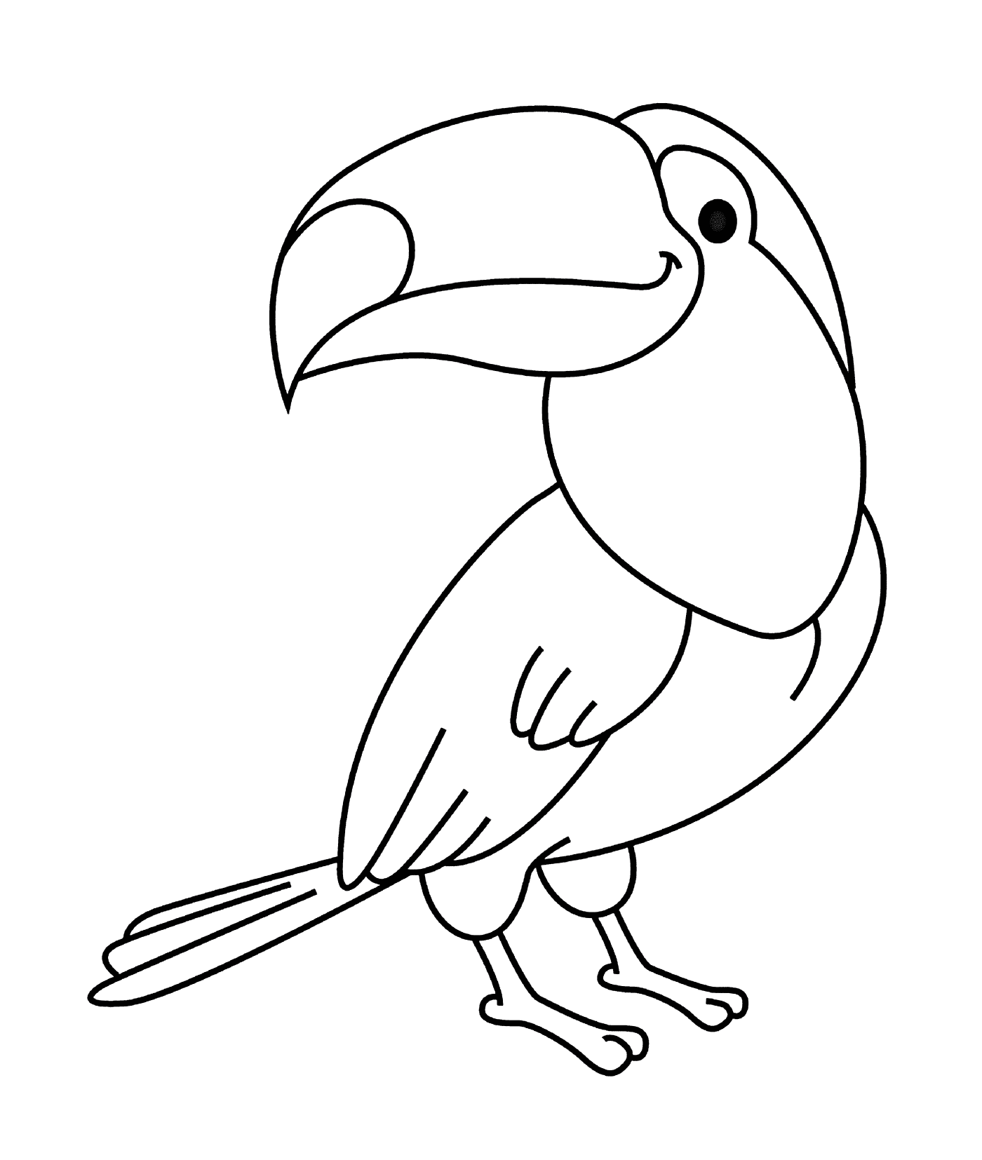 coloriage oiseau toucan