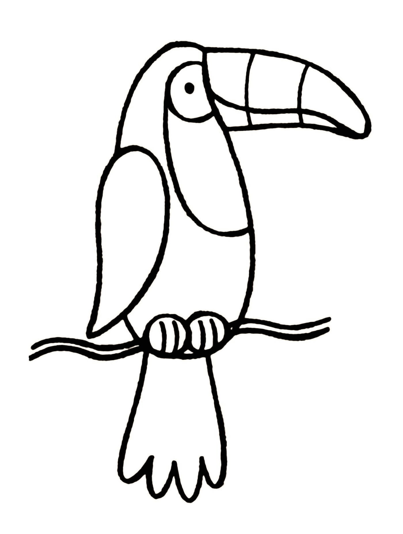 coloriage oiseau toucan simple