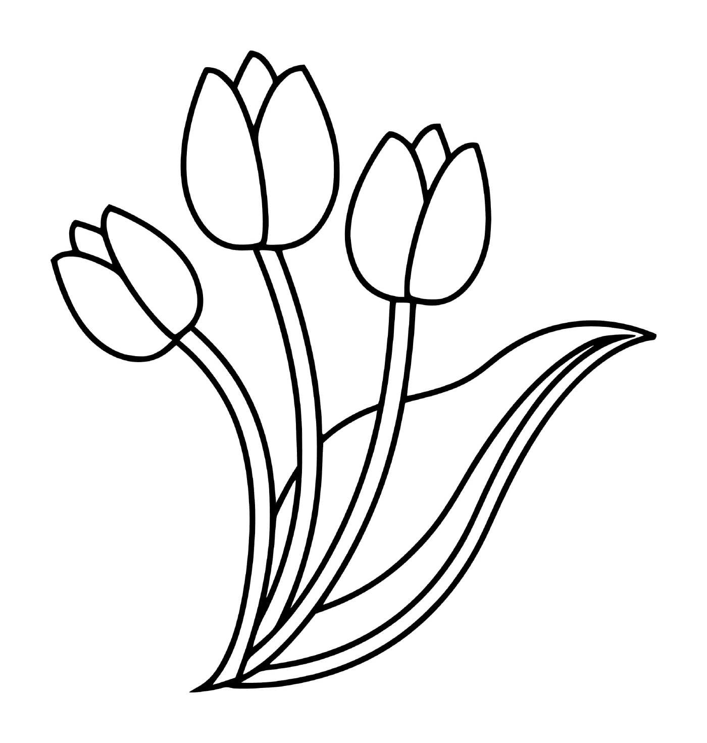 coloriage trois fleurs tulipes