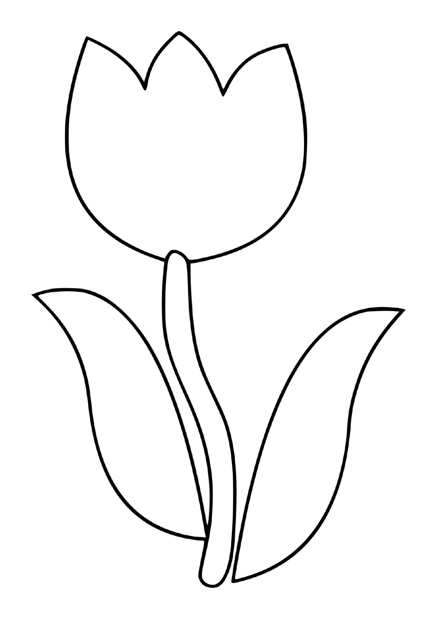 coloriage tulipe maternelle fleur simple
