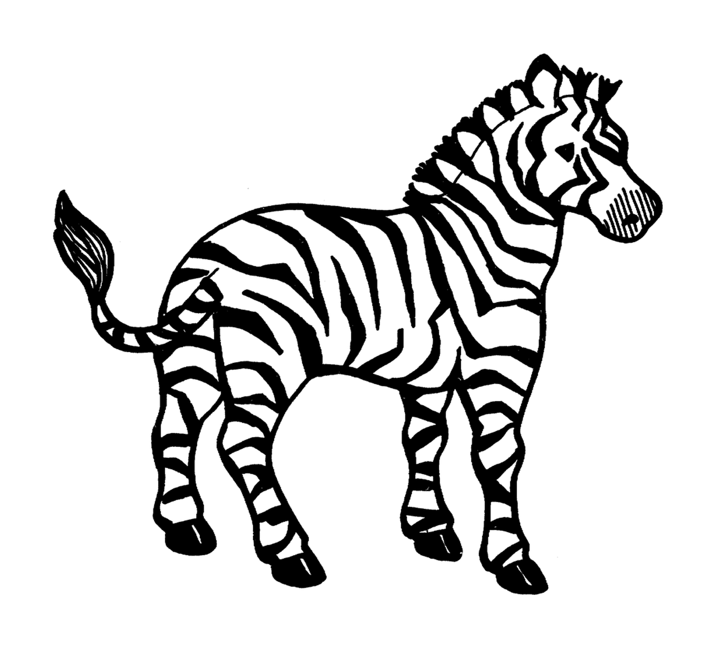 coloriage zebre 1
