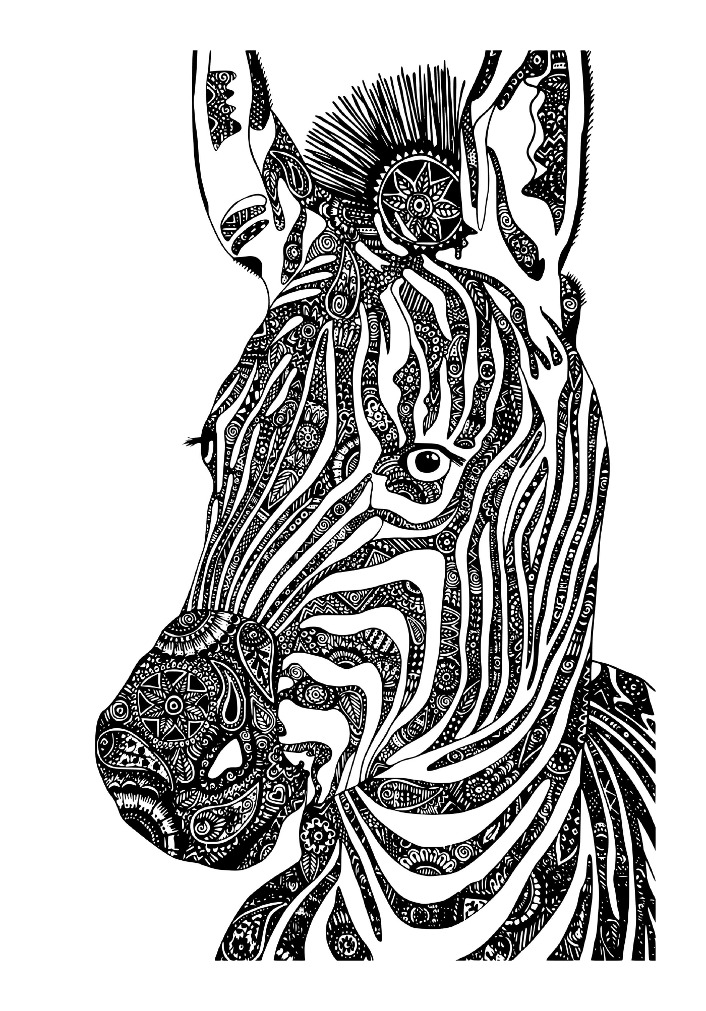 coloriage zebre mandala adulte zentangle