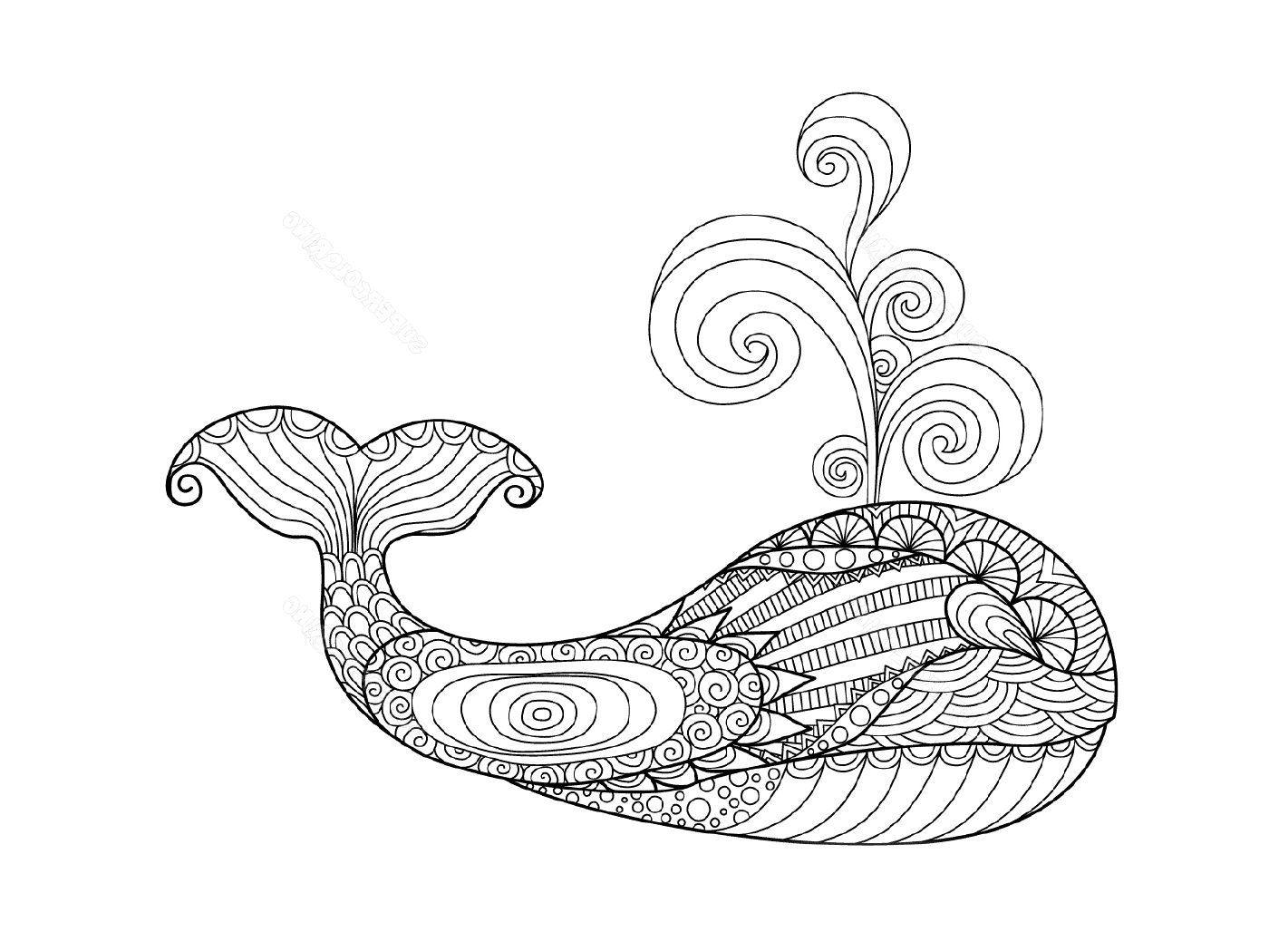 coloriage whale zentangle adulte