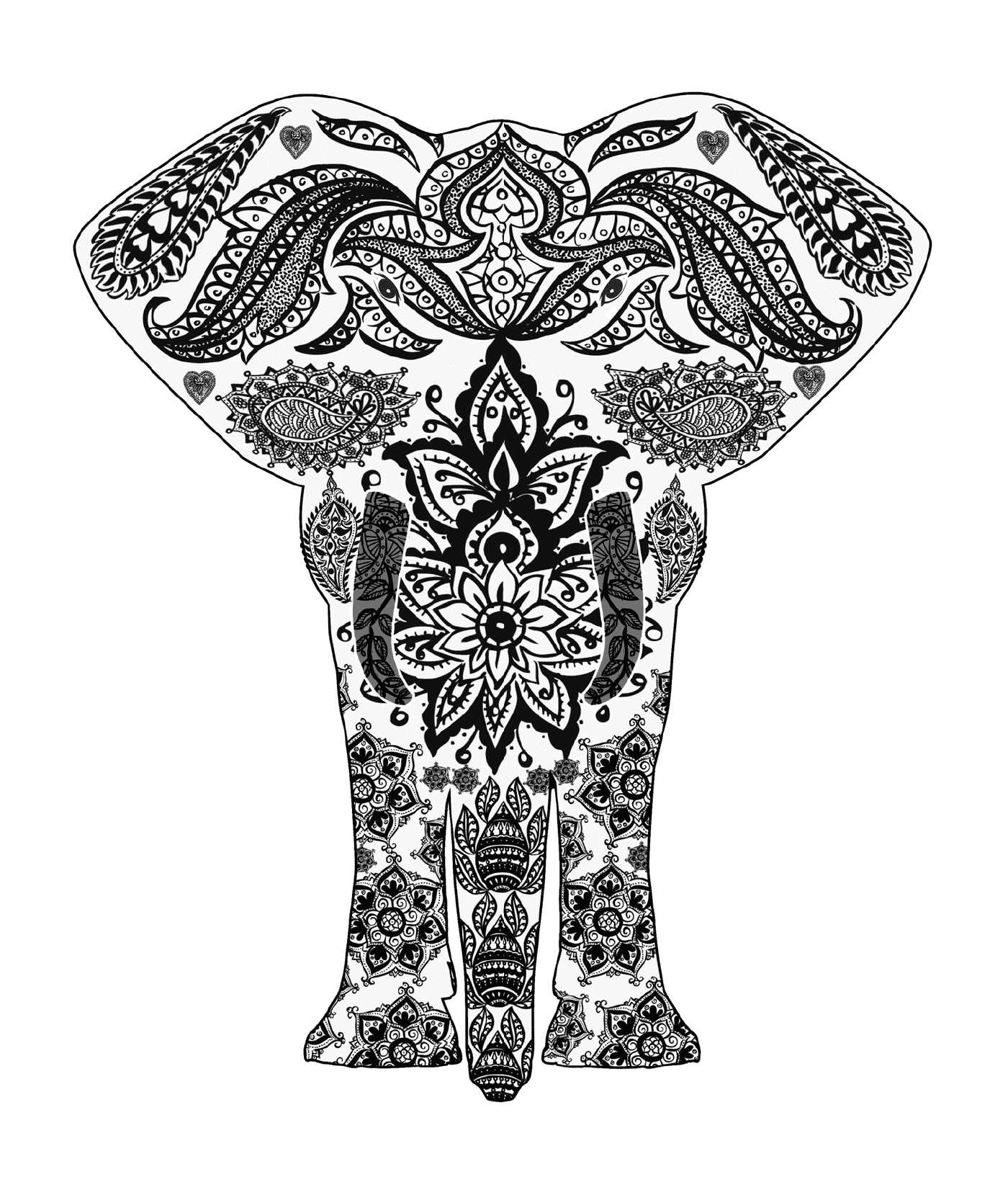 coloriage elephant zentangle adulte
