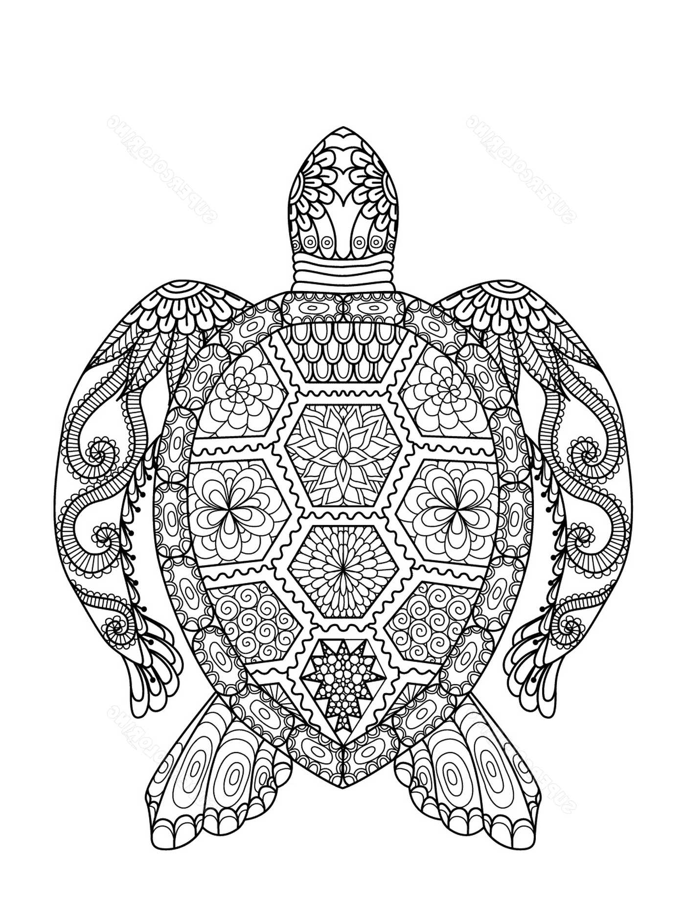 coloriage turtle zentangle adulte