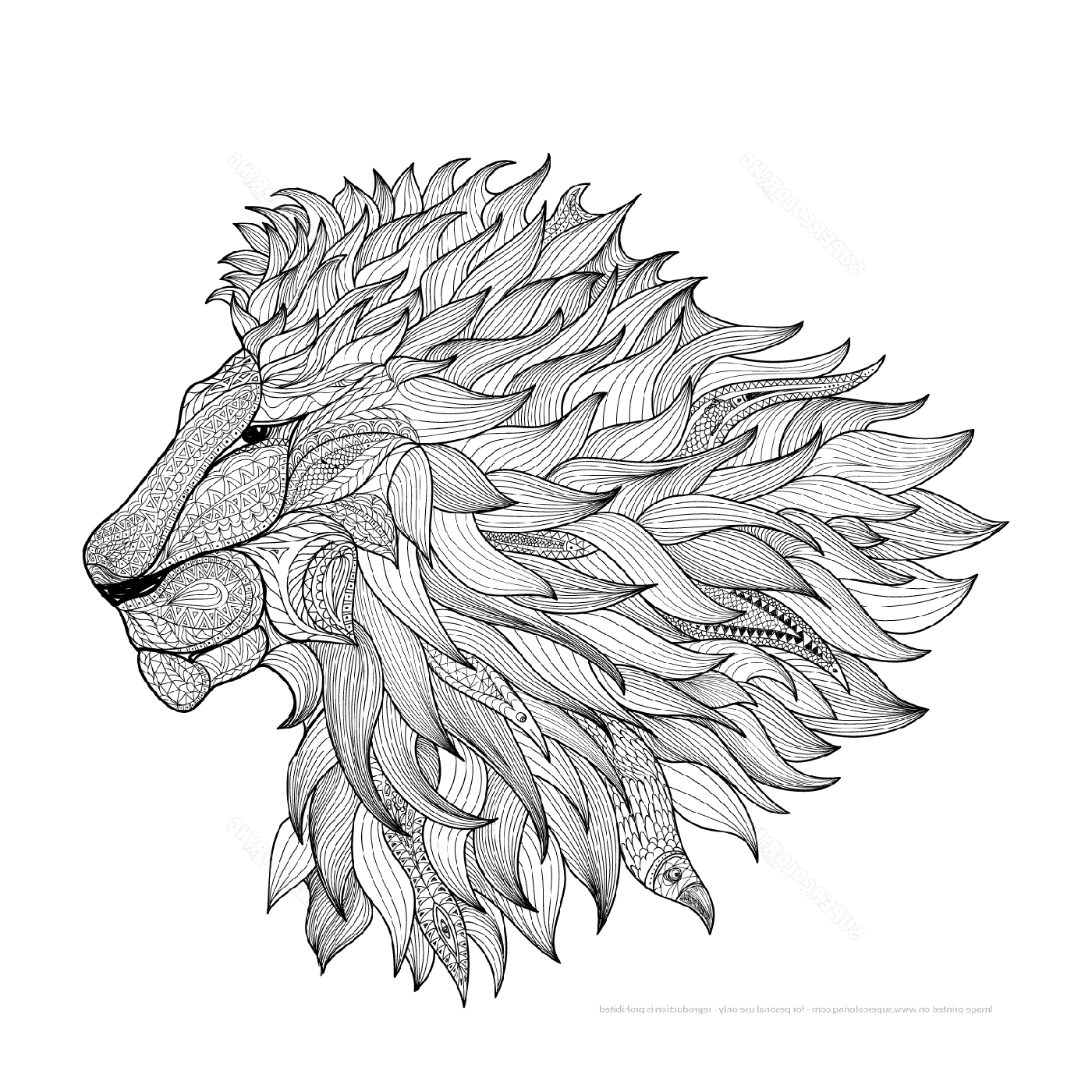 coloriage lion zentangle adulte