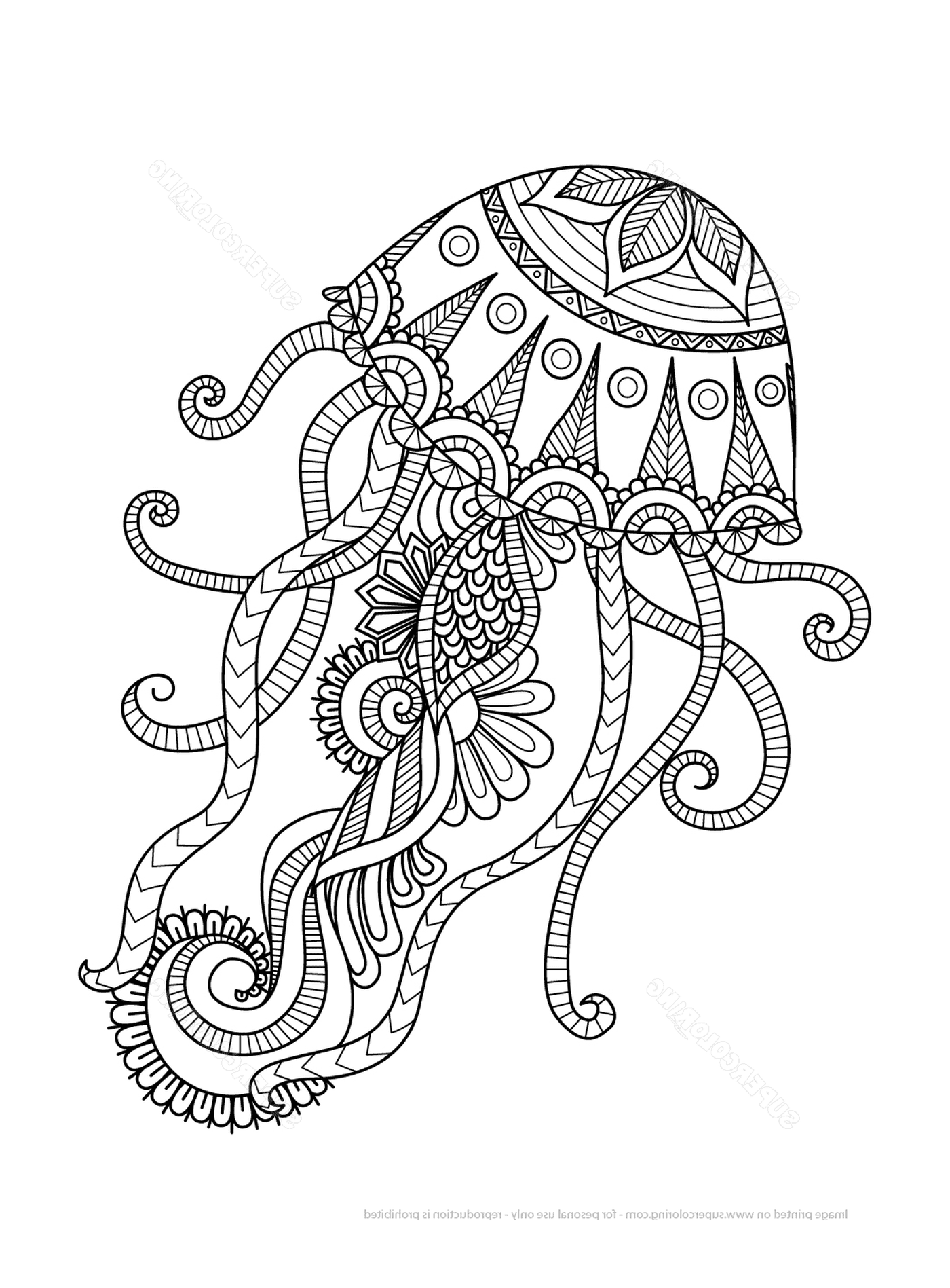 coloriage jellyfish zentangle adulte