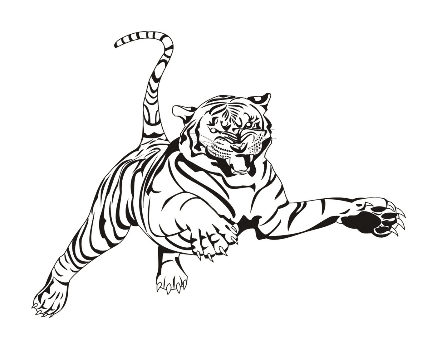   Tigre majestueux 