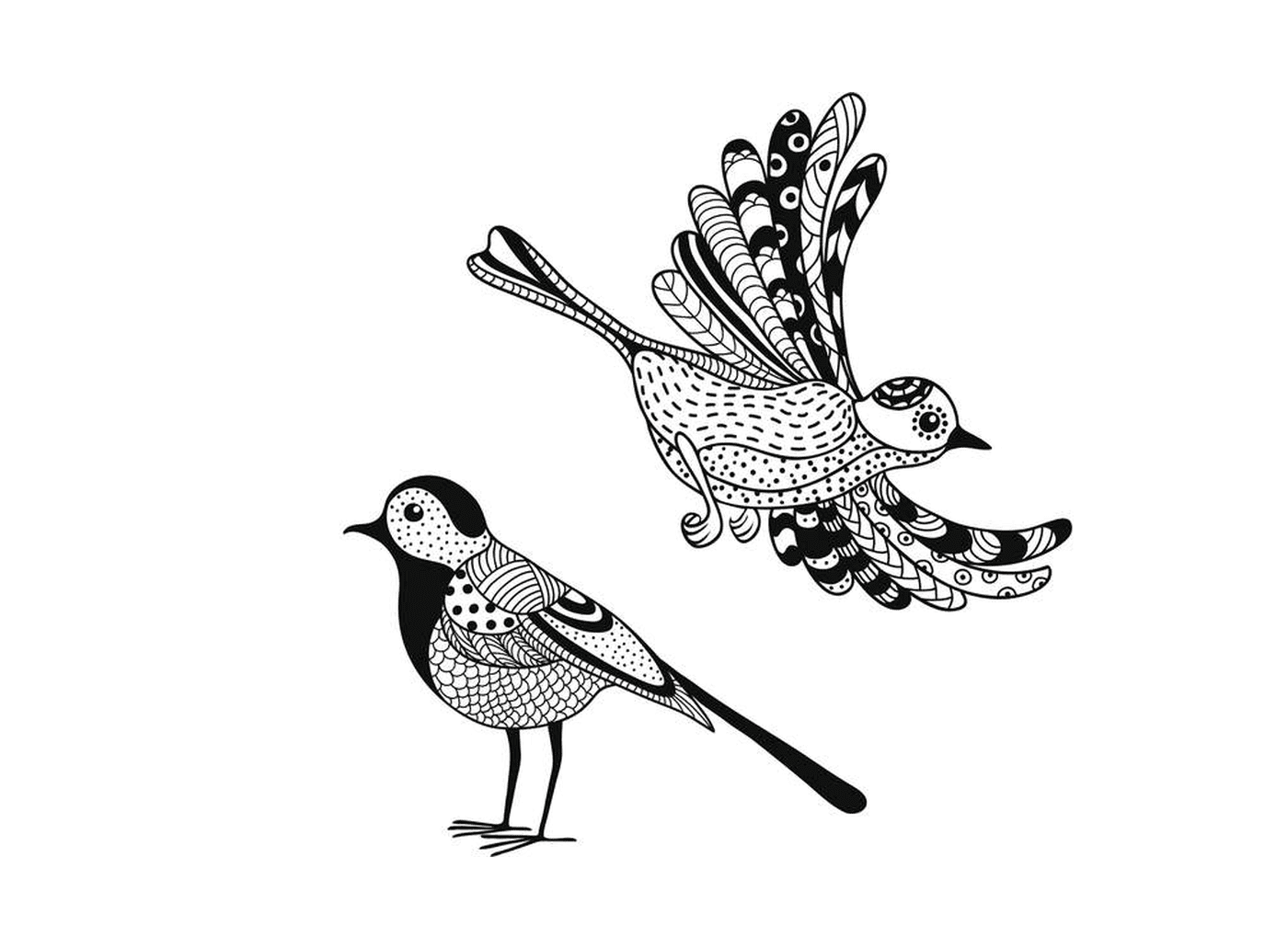   Deux oiseaux avec des motifs végétaux multicolores 