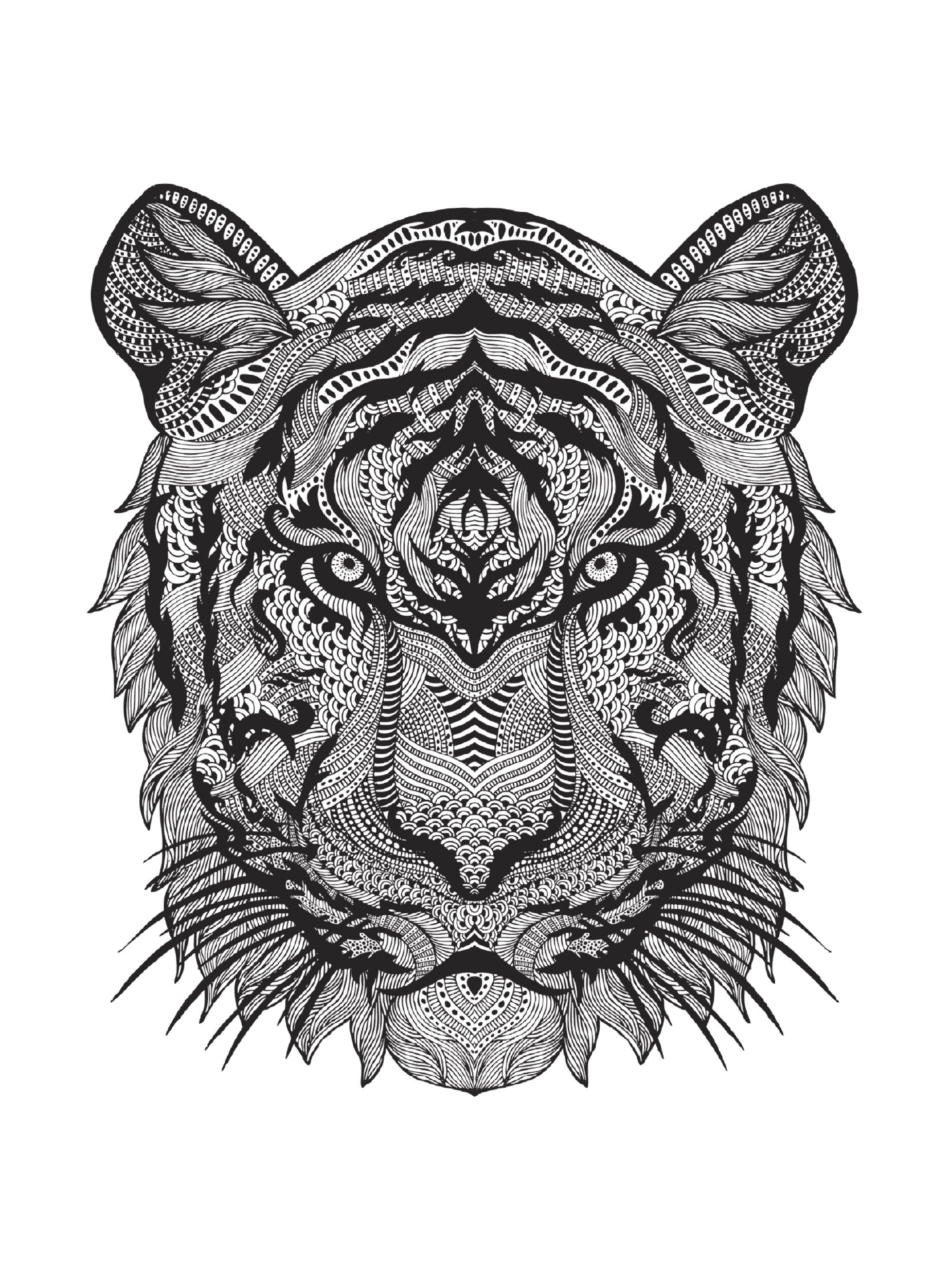   La tête d'un tigre 