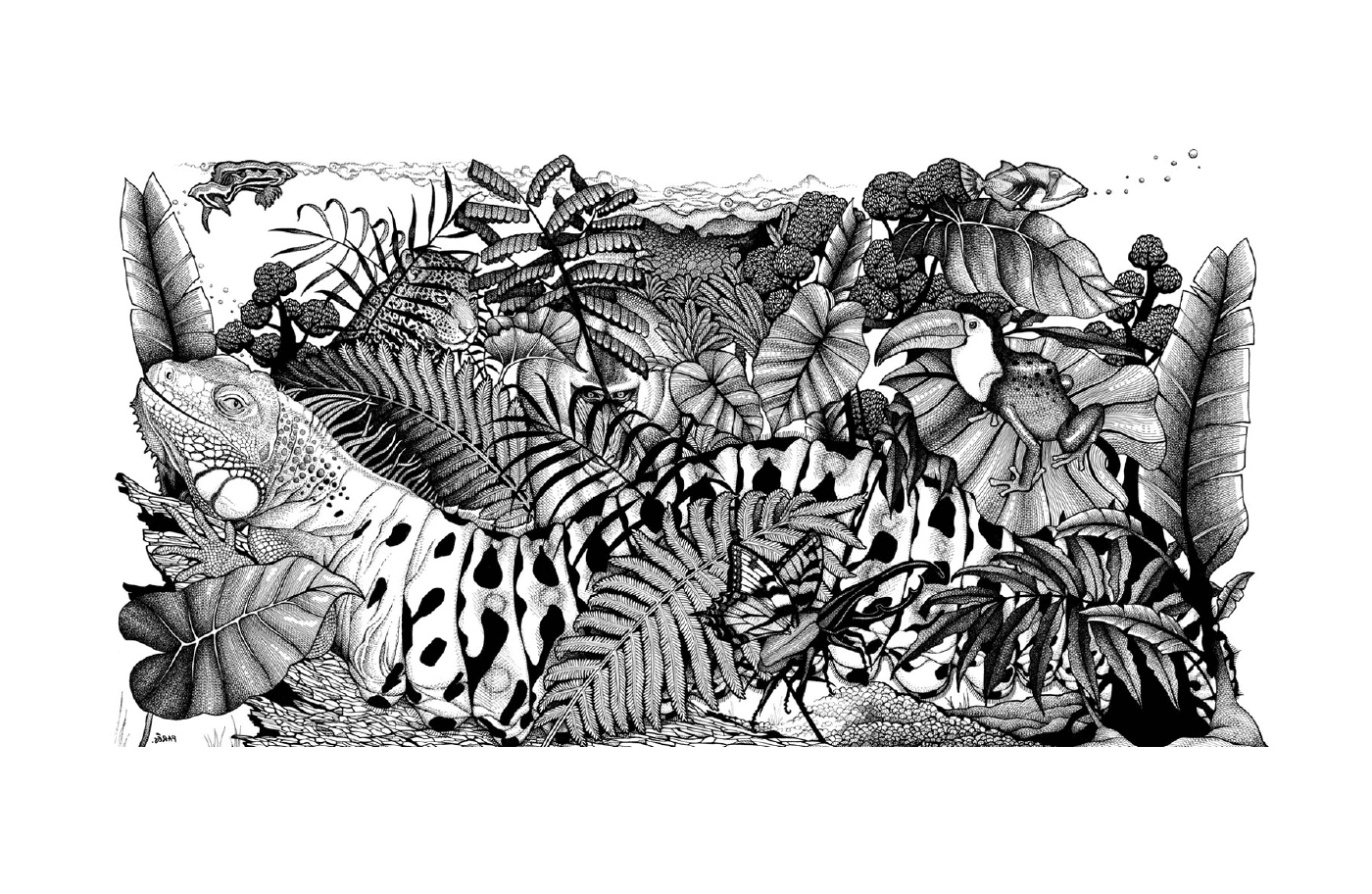   Une jungle avec plusieurs plantes 