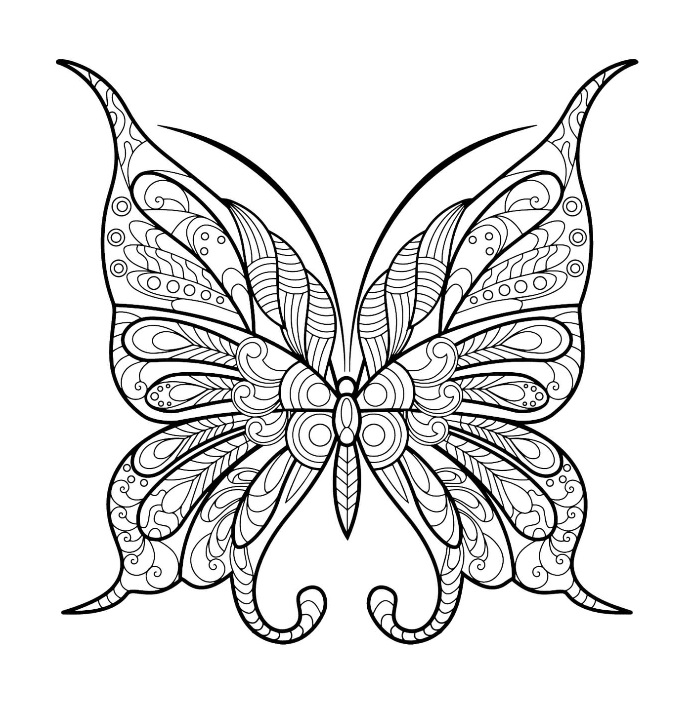   Papillon aux motifs jolis 