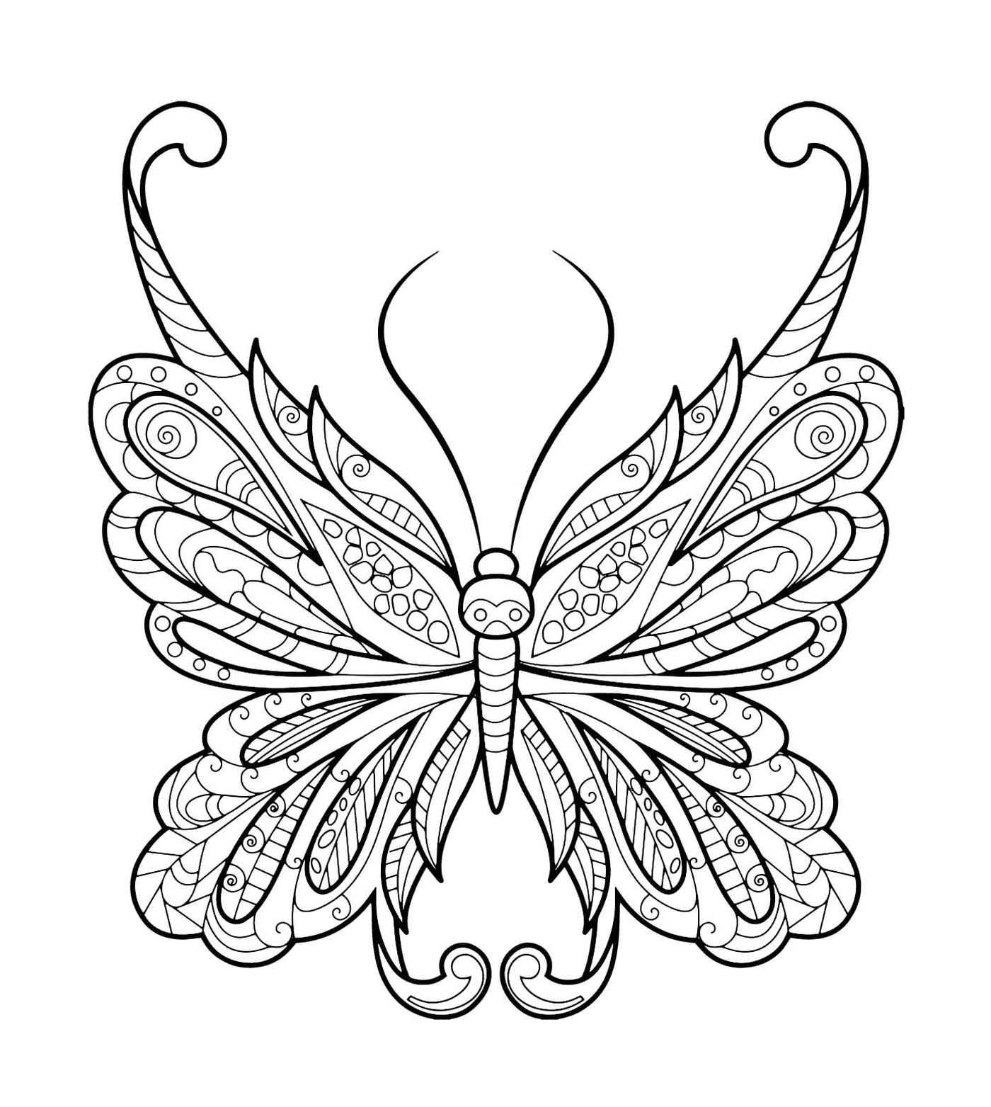   Papillon zentangle aux motifs magnifiques 