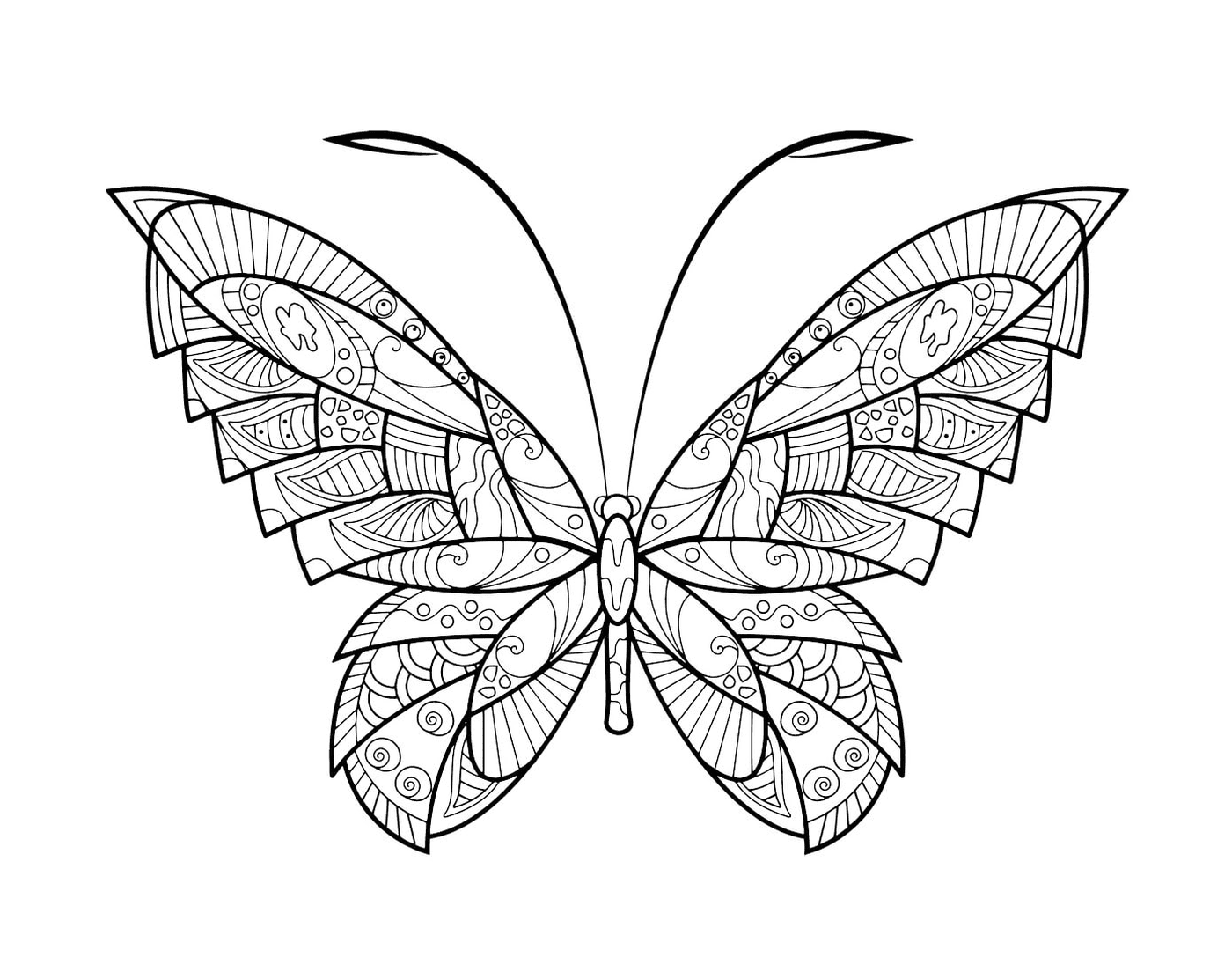   Papillon zentangle avec des motifs complexes 