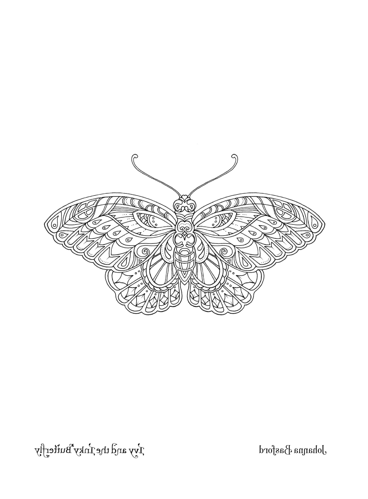   Un papillon majestueux 