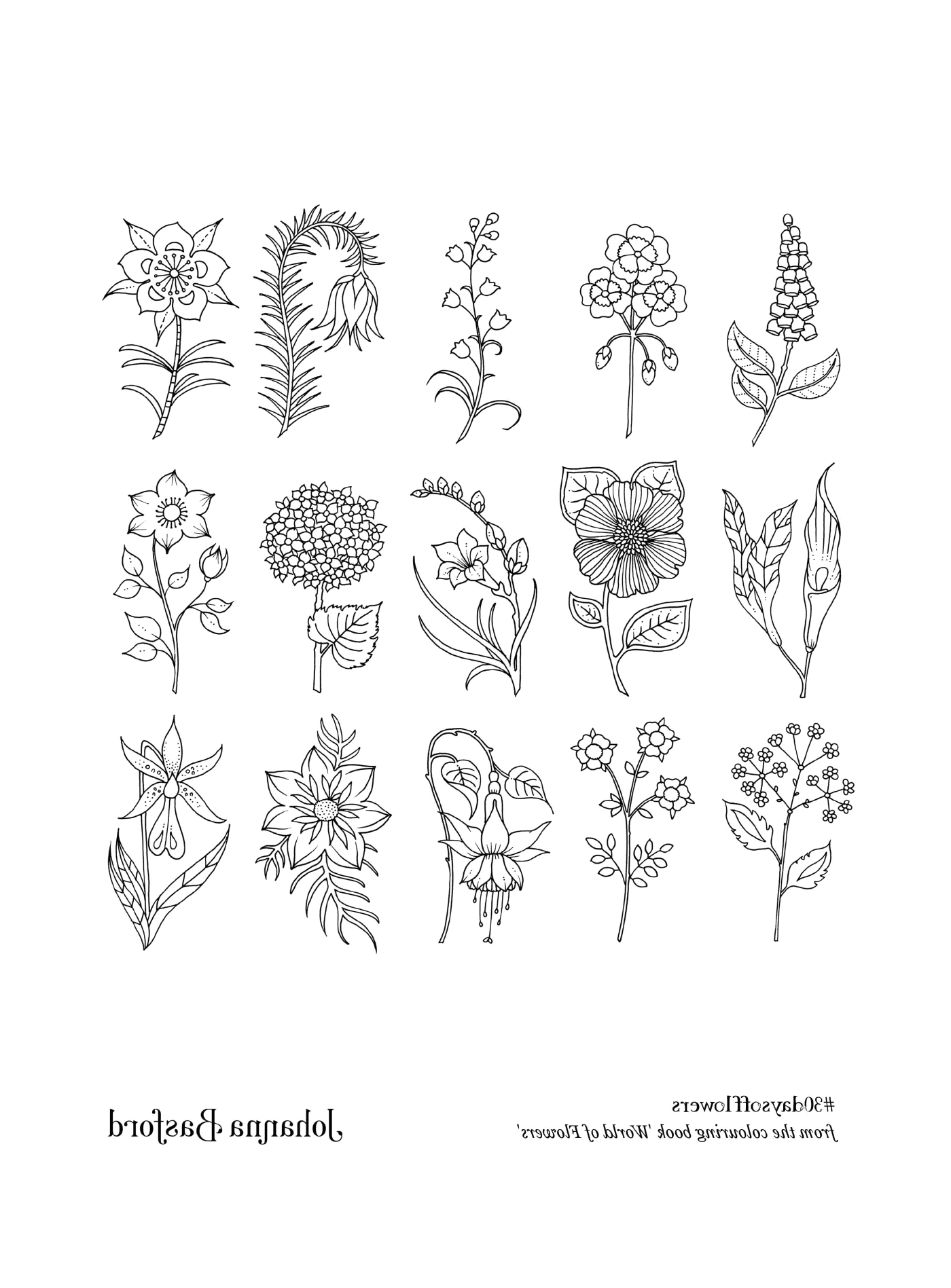   Une grande variété de fleurs 
