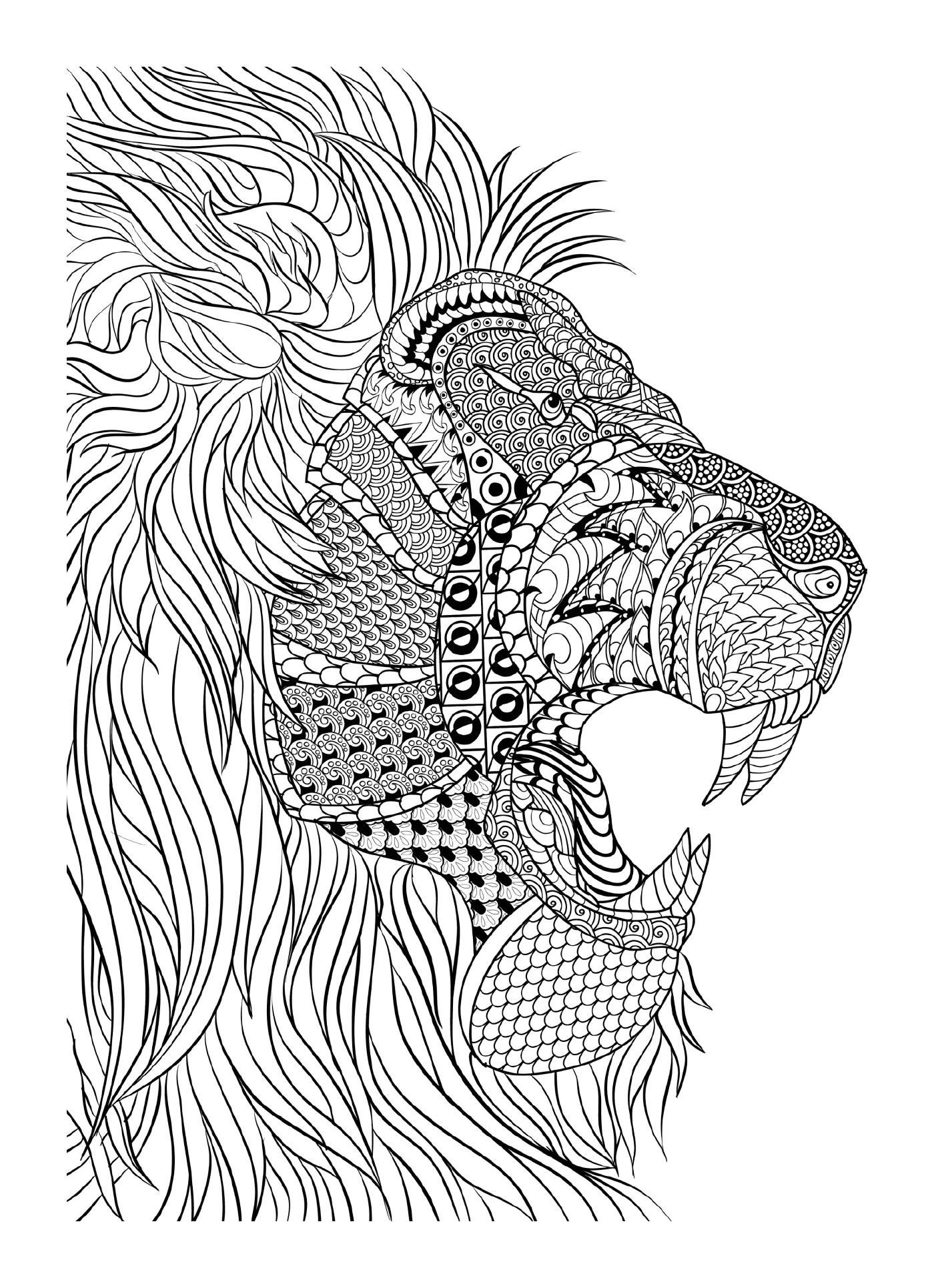   Un lion 