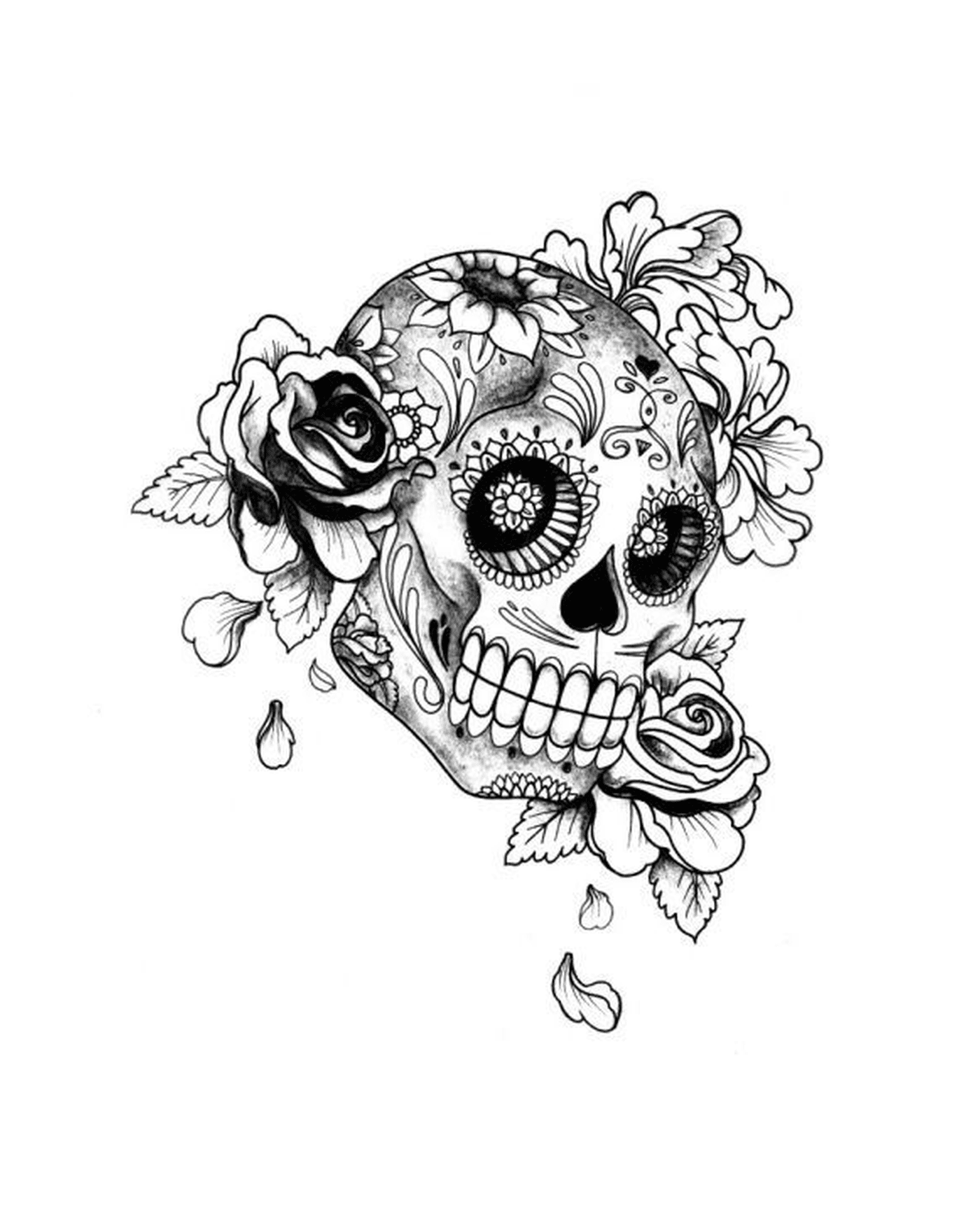   Crâne avec des roses 