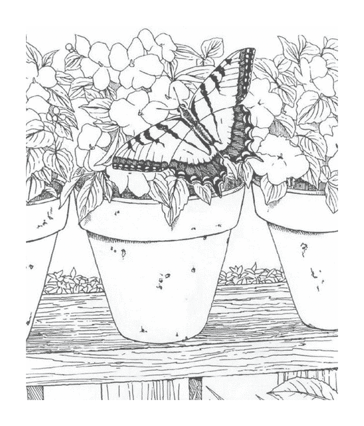   Papillon posé sur un pot de fleurs 
