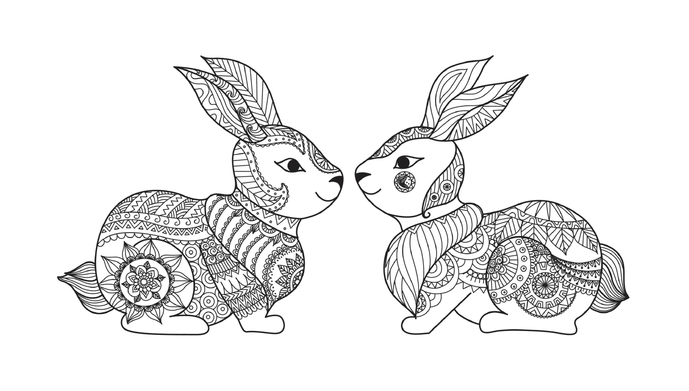  Deux lapins assis dans l'herbe