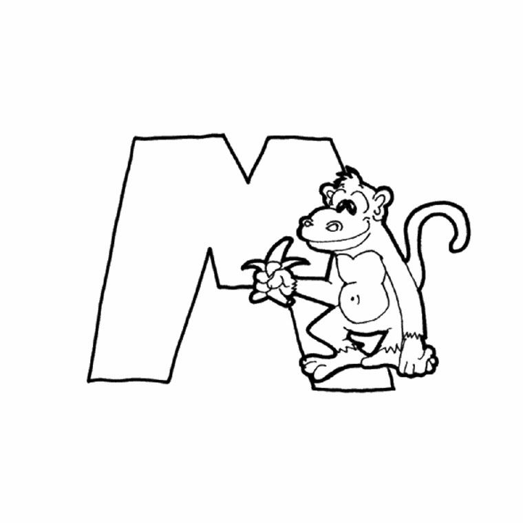   La lettre M est pour singe 