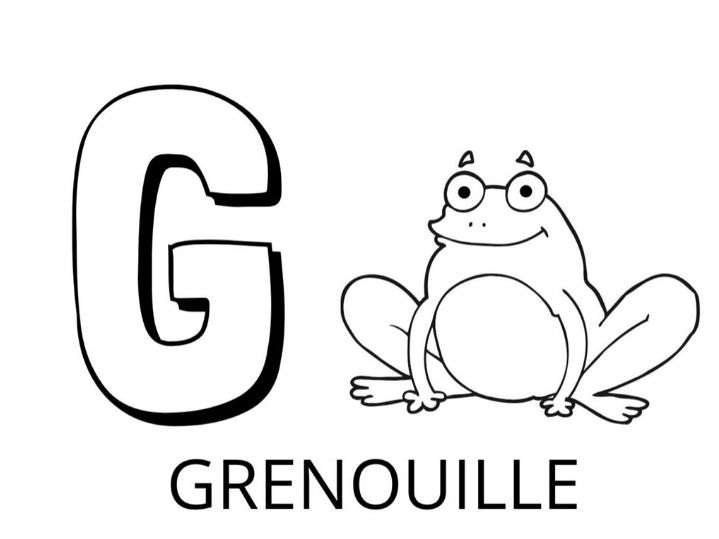   La lettre G est pour grenouille 