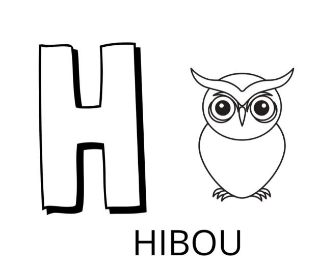   La lettre H est pour hibou 