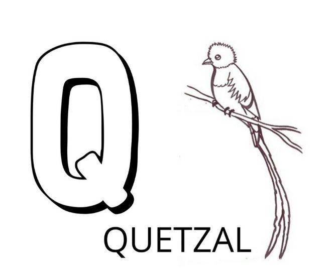   La lettre Q est pour quetzal 