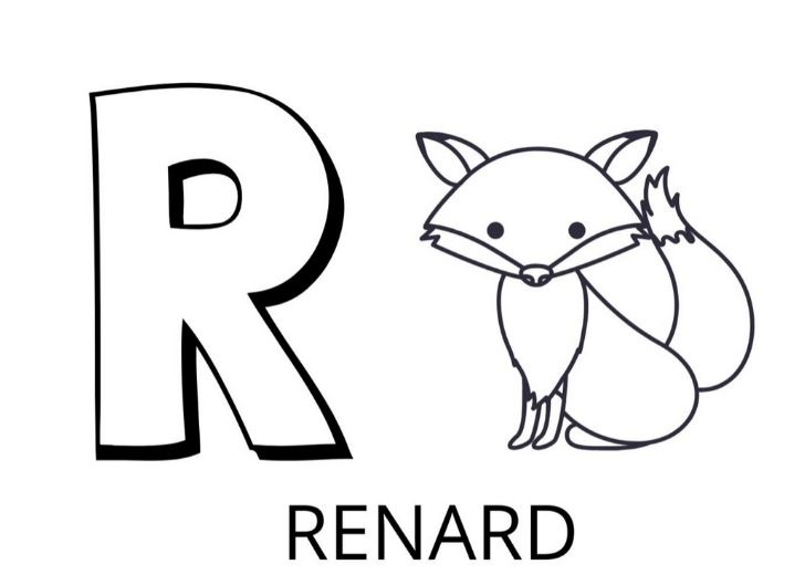   La lettre R est pour renard 
