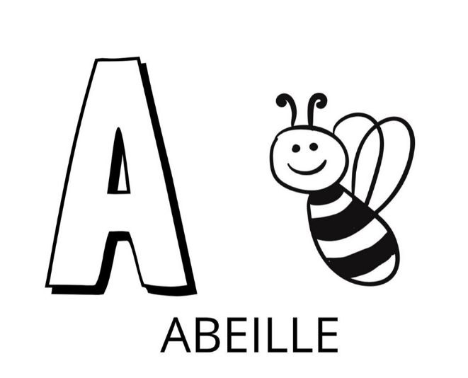   La lettre A est pour abeille 