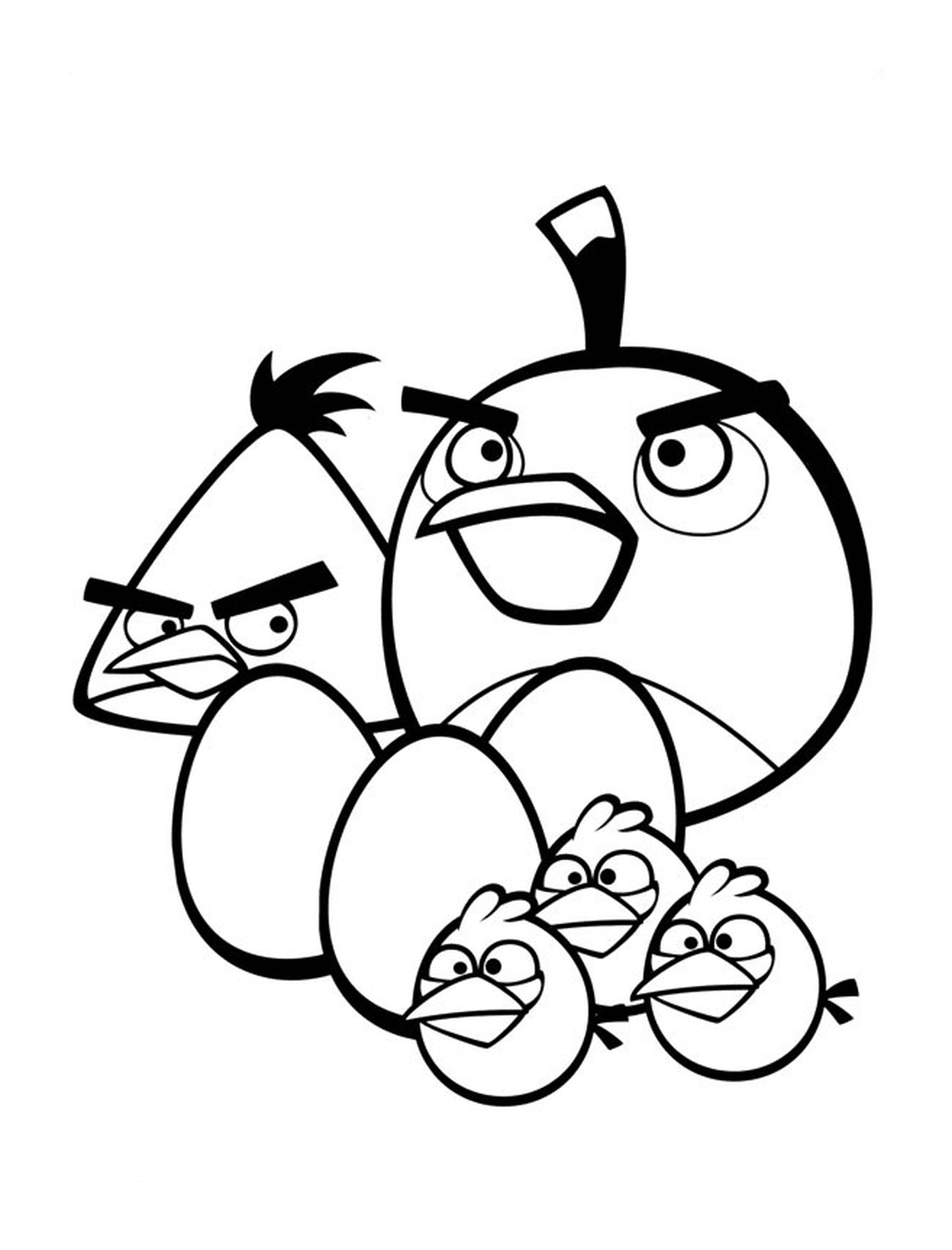   Angry Birds - Petite famille d'oiseaux 