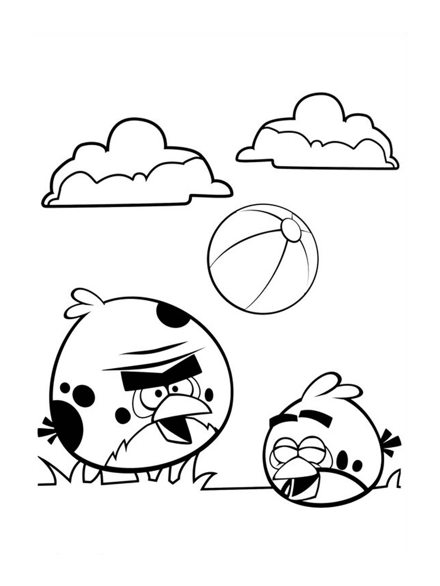   Angry Birds jouent au ballon de foot 