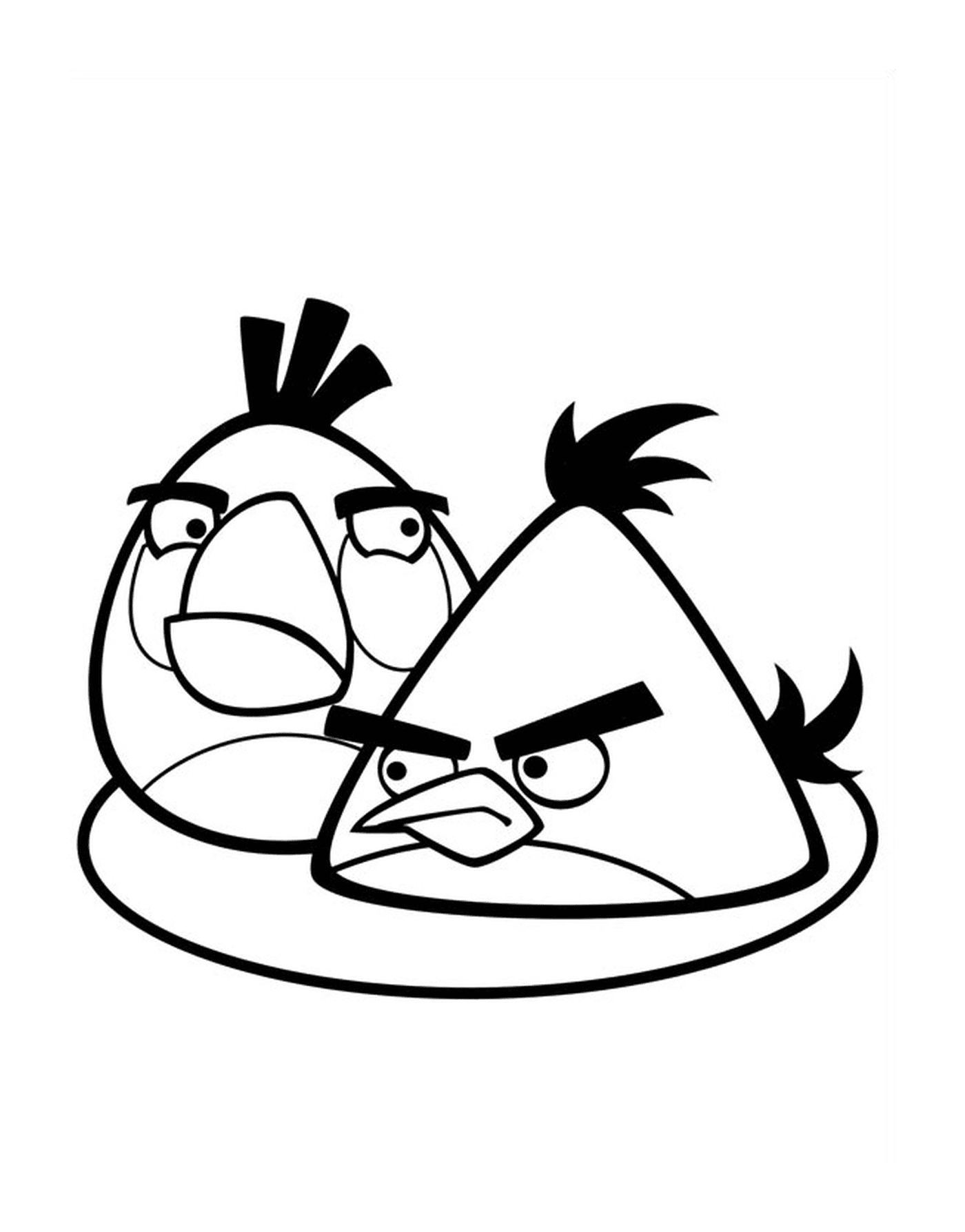   Union fait la force des Angry Birds 