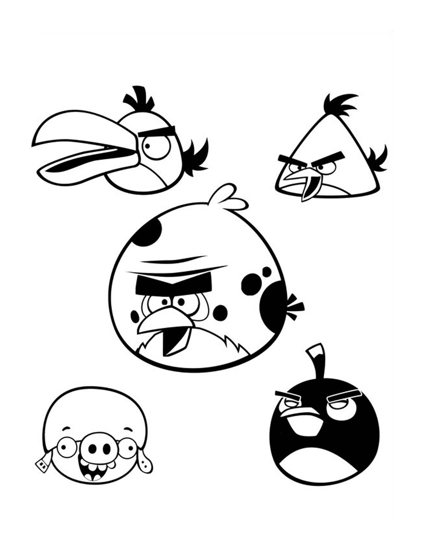   Équipe de cinq Angry Birds dans les airs 