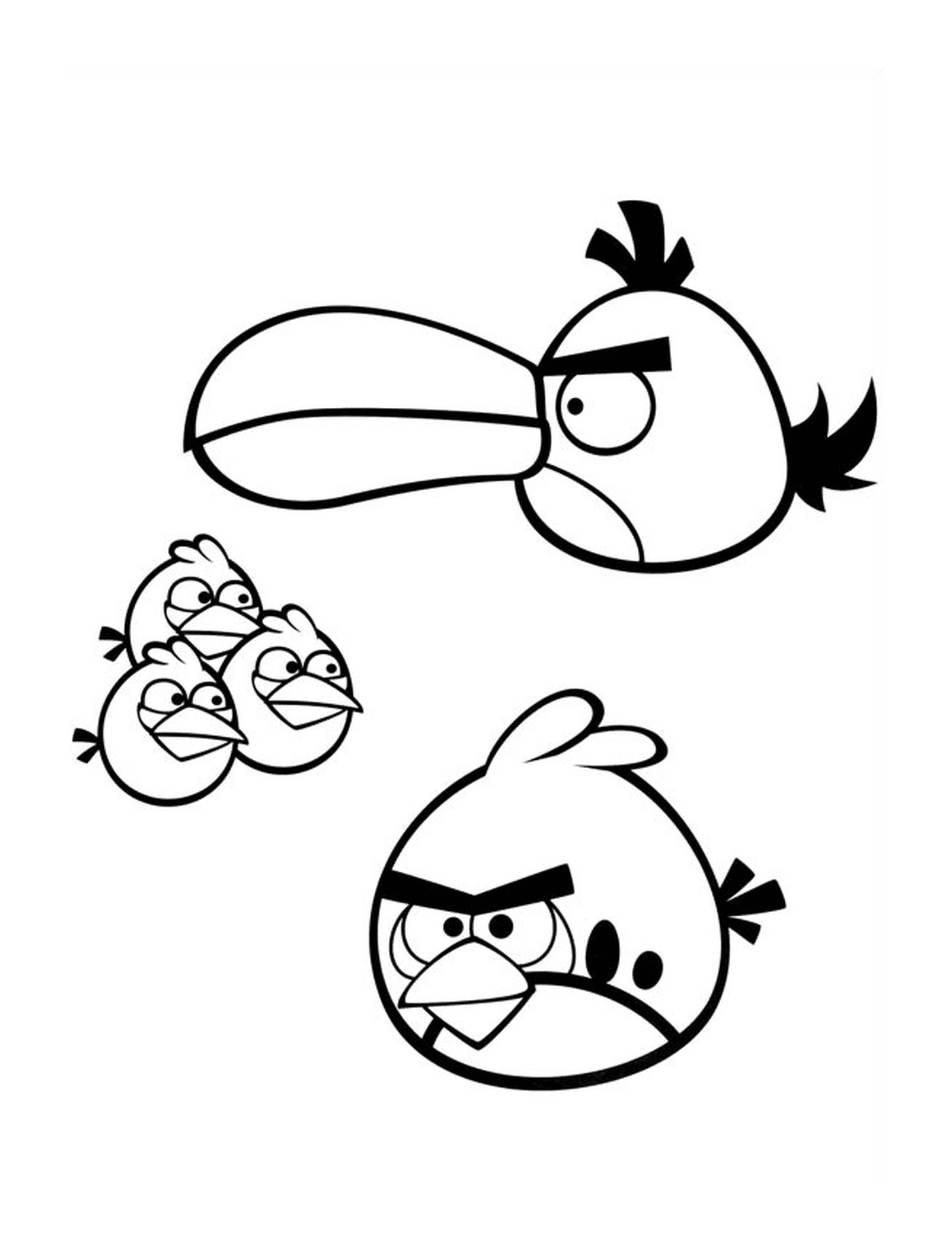   Angry Birds petit et grand 