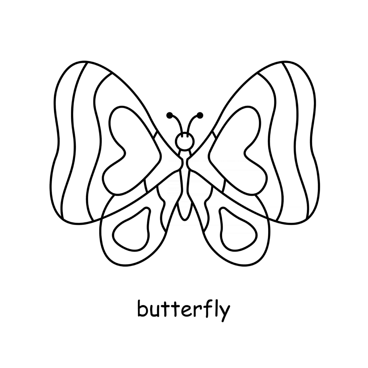   Papillon simple 