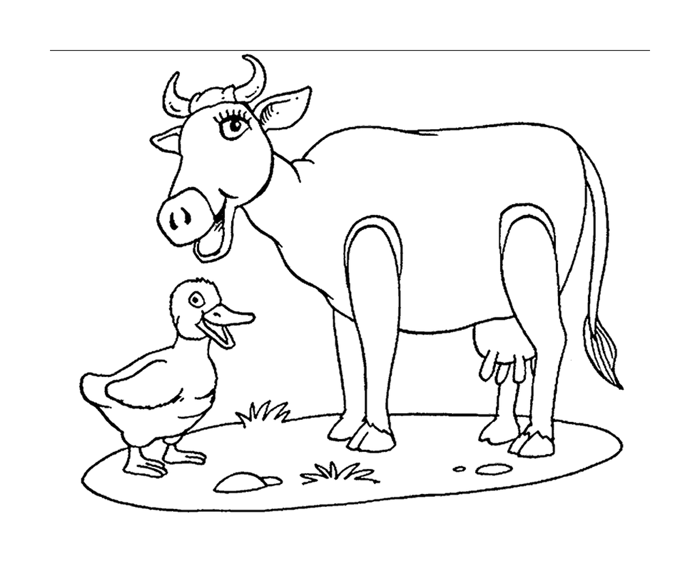   Une vache accompagnée d'un canard 